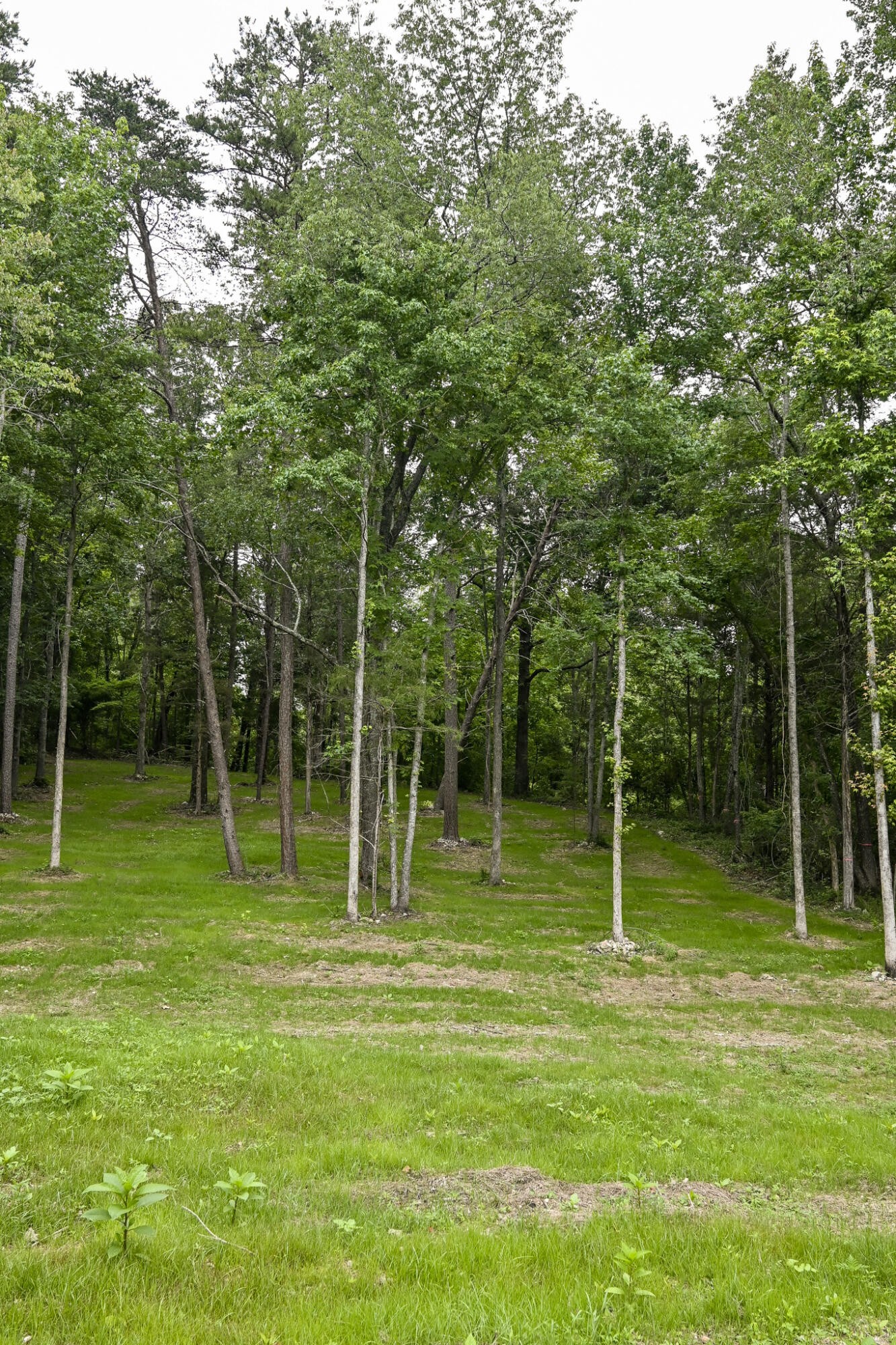 2214 N Fork Drive Property Photo 39