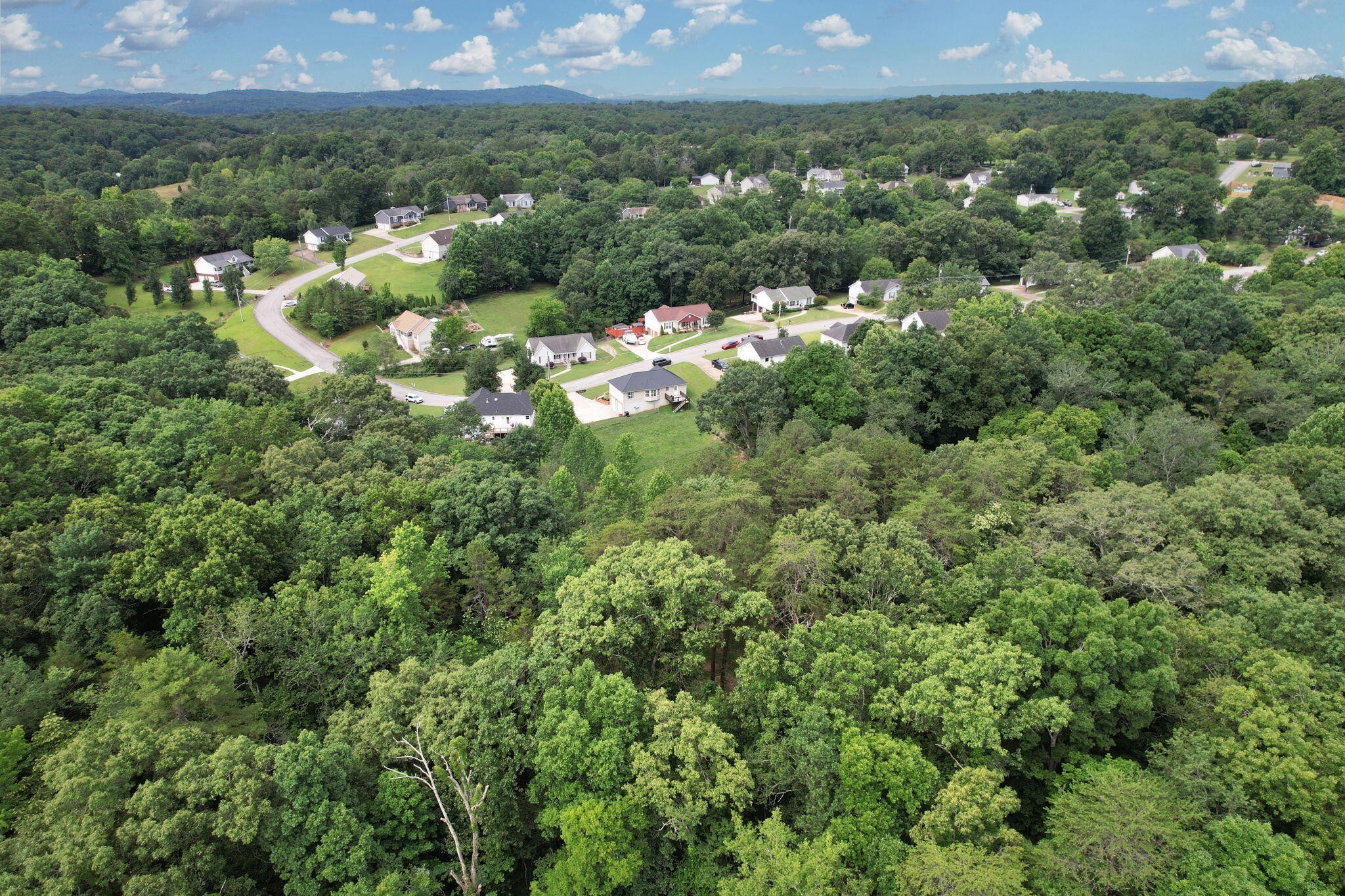 2214 N Fork Drive Property Photo 41