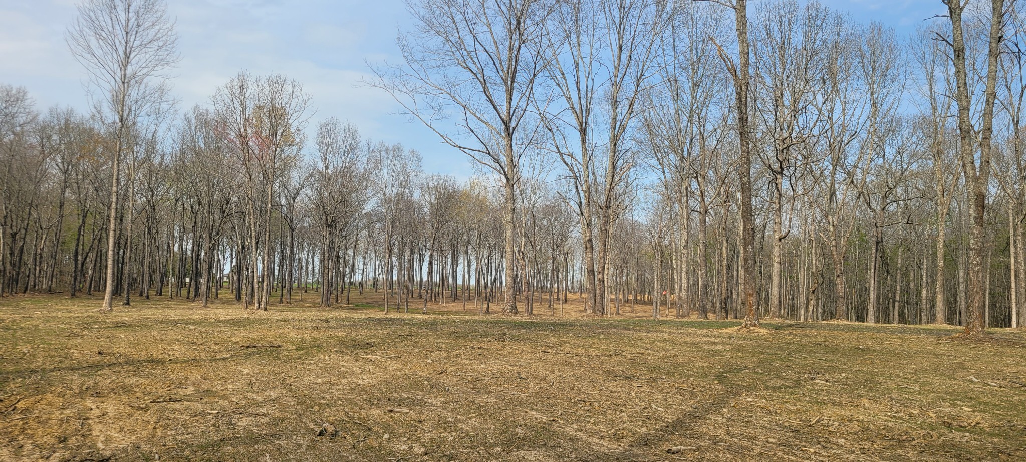 6 Goforth Rd Property Photo 5