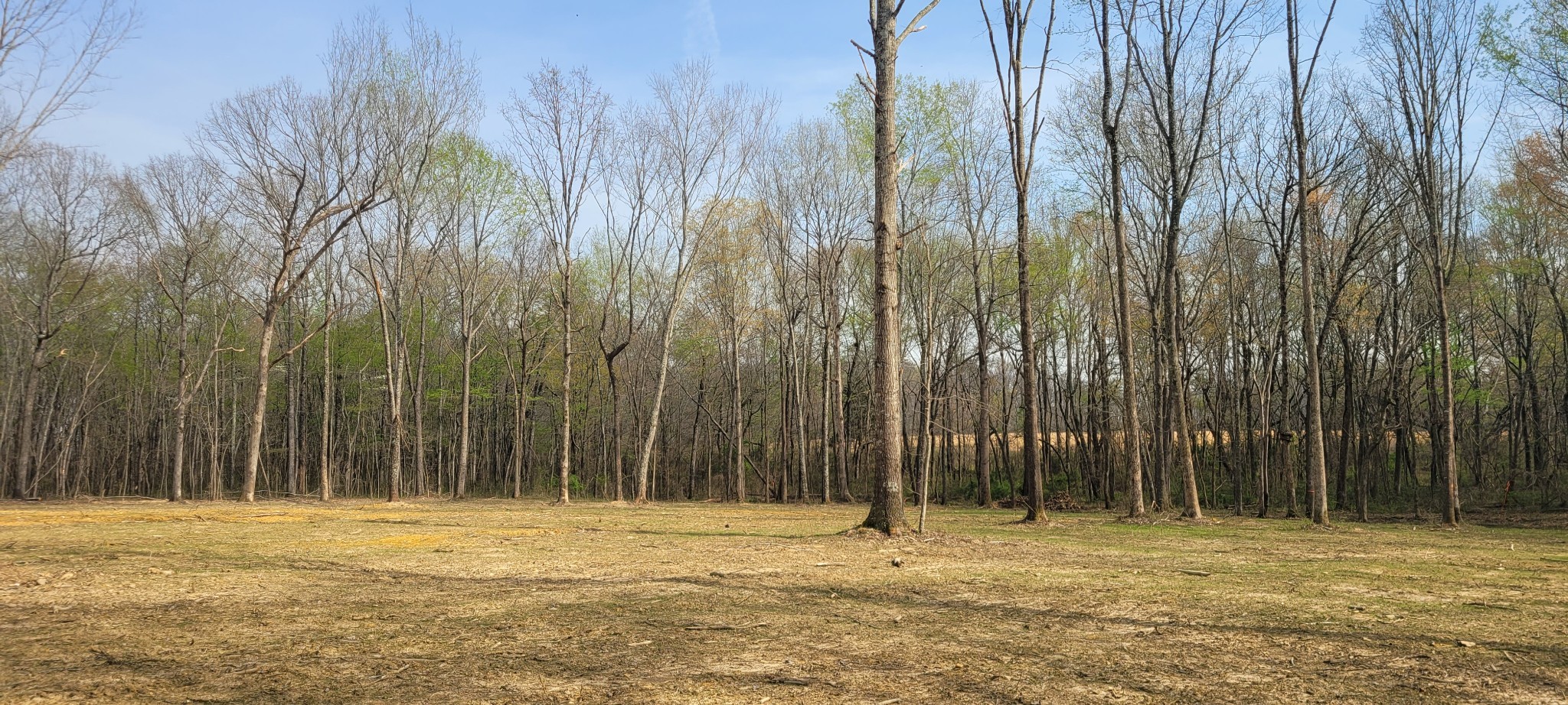 6 Goforth Rd Property Photo 6