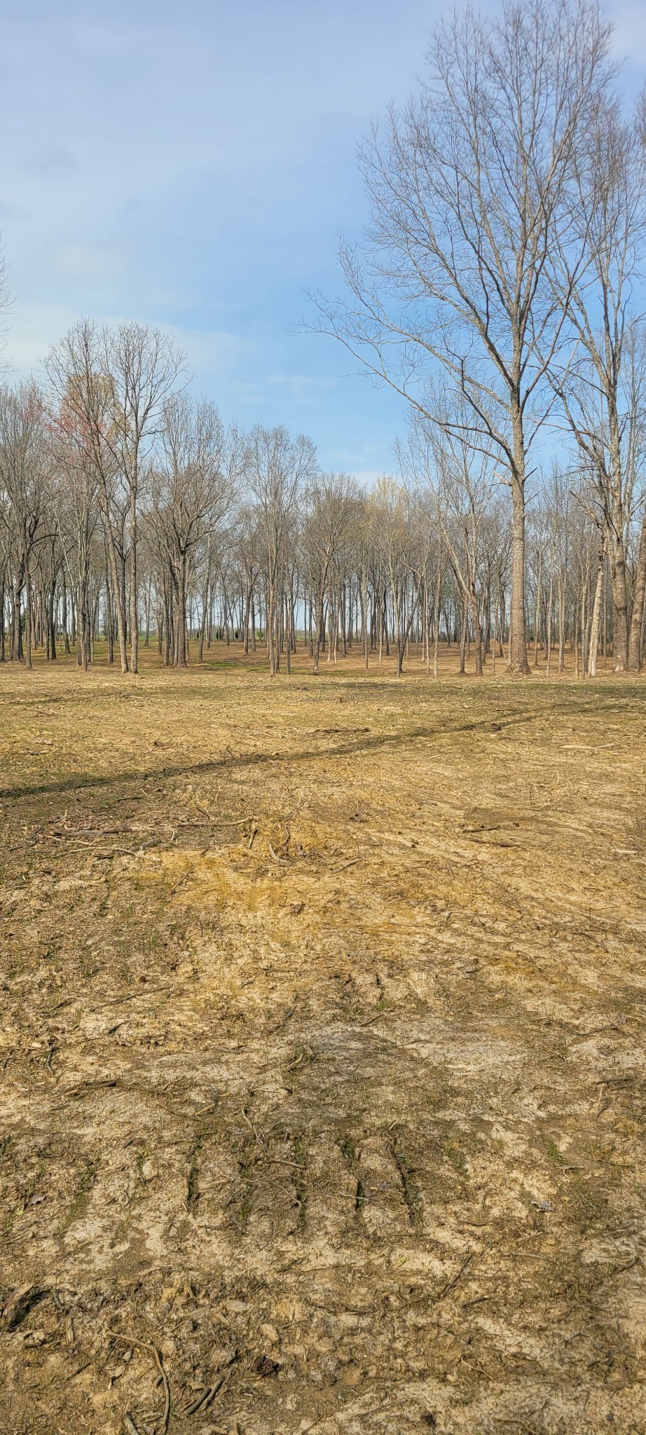 6 Goforth Rd Property Photo 7
