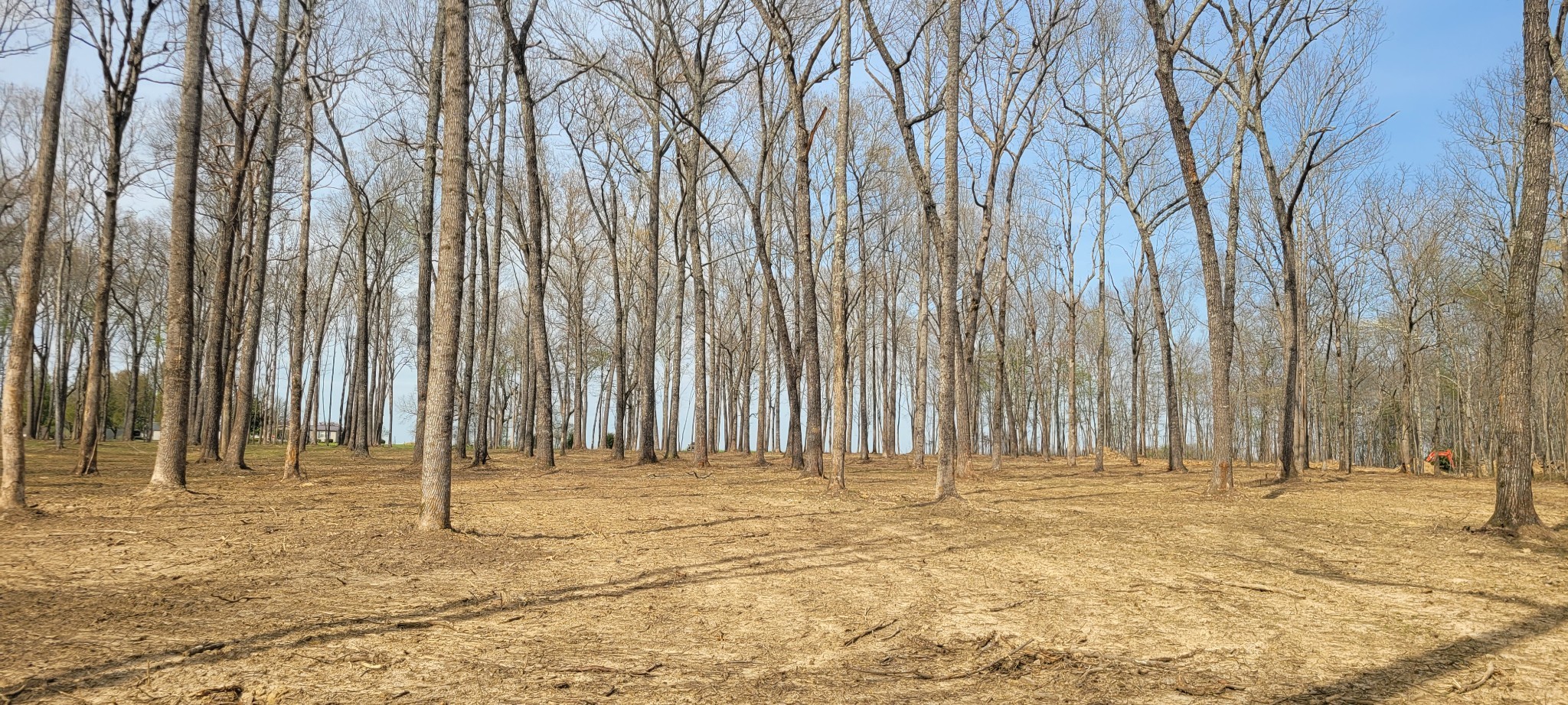 6 Goforth Rd Property Photo 8