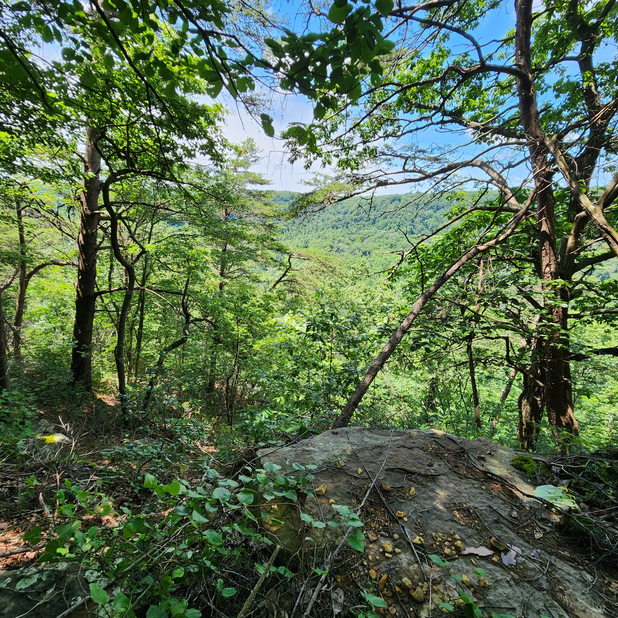 0 Eagle Point Drive Property Photo 1