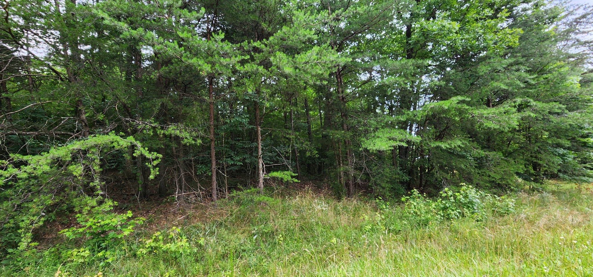 0 Sequatchie Mountain Rd Property Photo 3