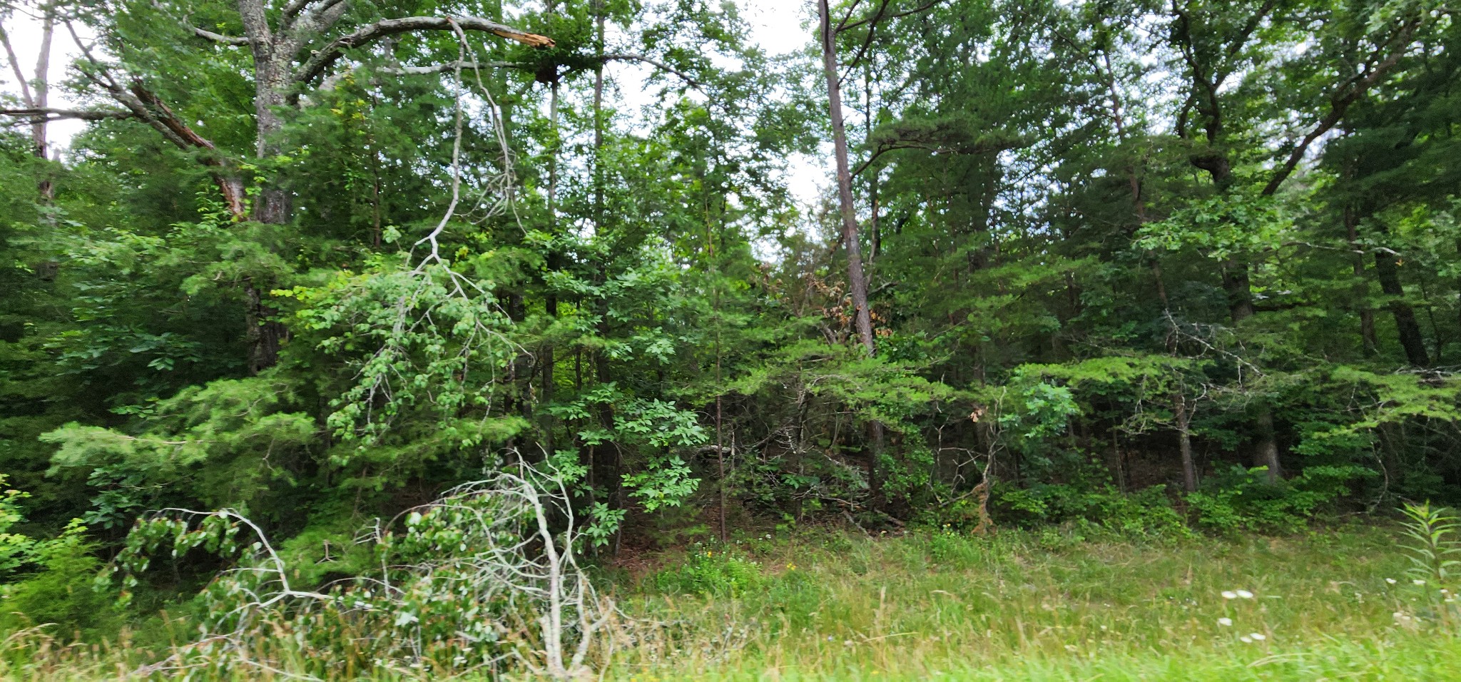0 Sequatchie Mountain Rd Property Photo 4