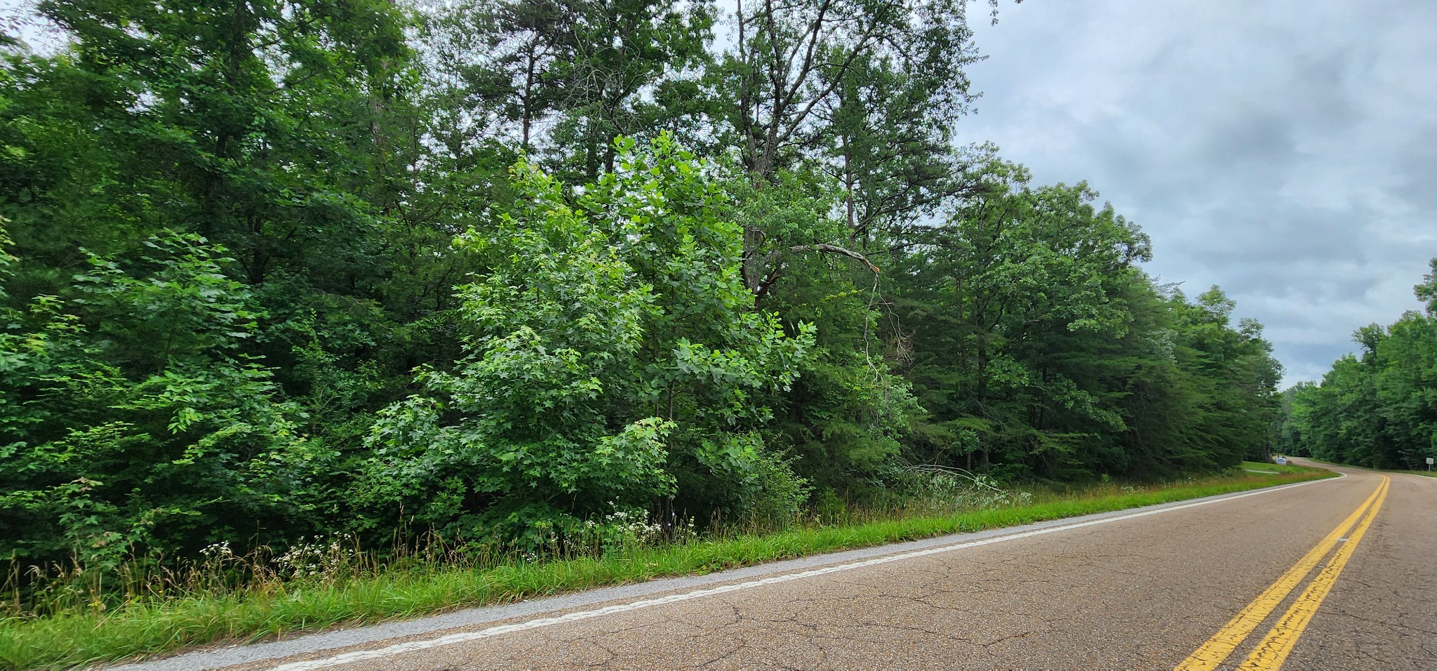 0 Sequatchie Mountain Rd Property Photo 5