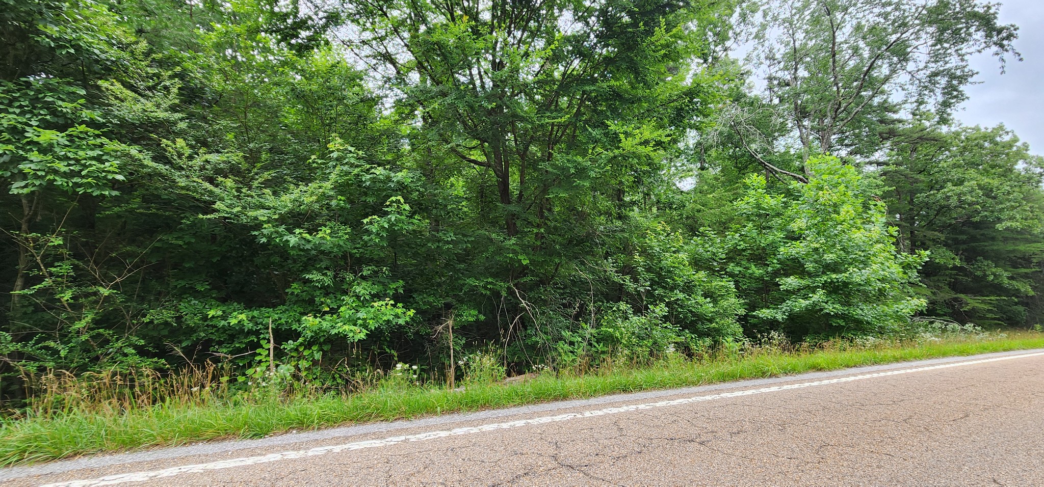 0 Sequatchie Mountain Rd Property Photo 6