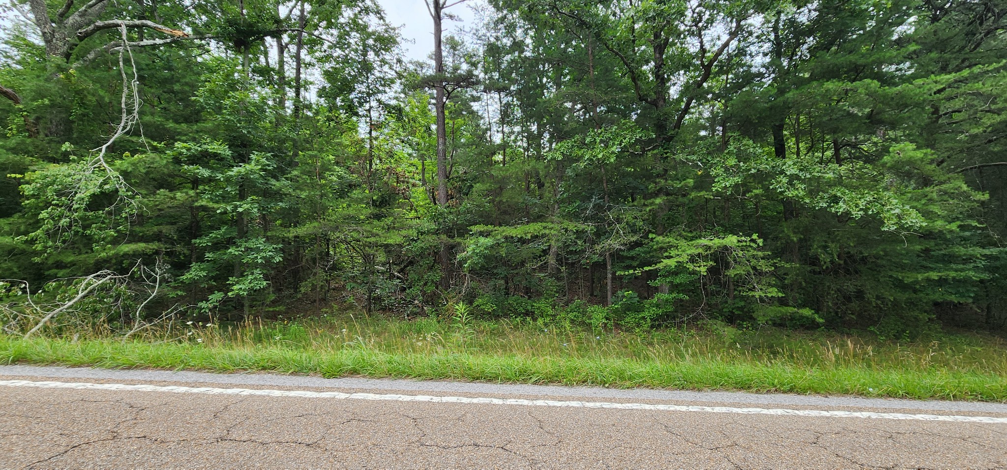 0 Sequatchie Mountain Rd Property Photo 8