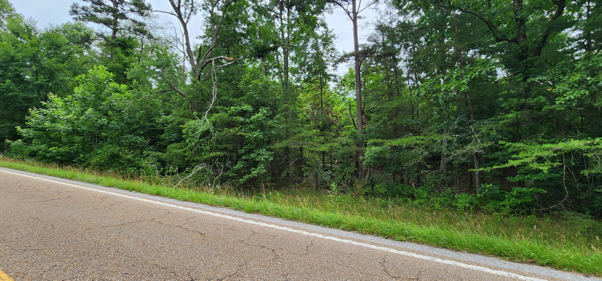 0 Sequatchie Mountain Rd Property Photo 9