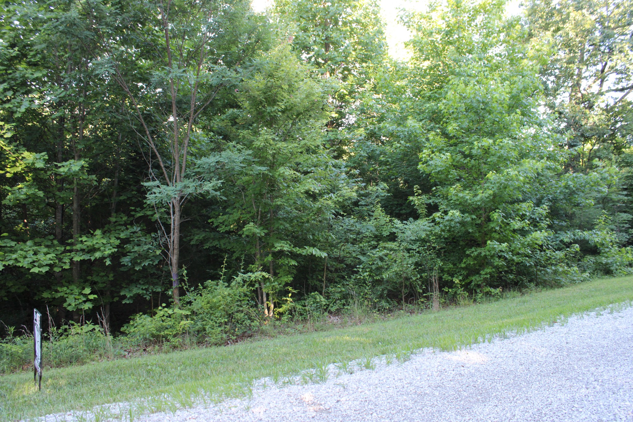 0 Bluff Line Property Photo 1