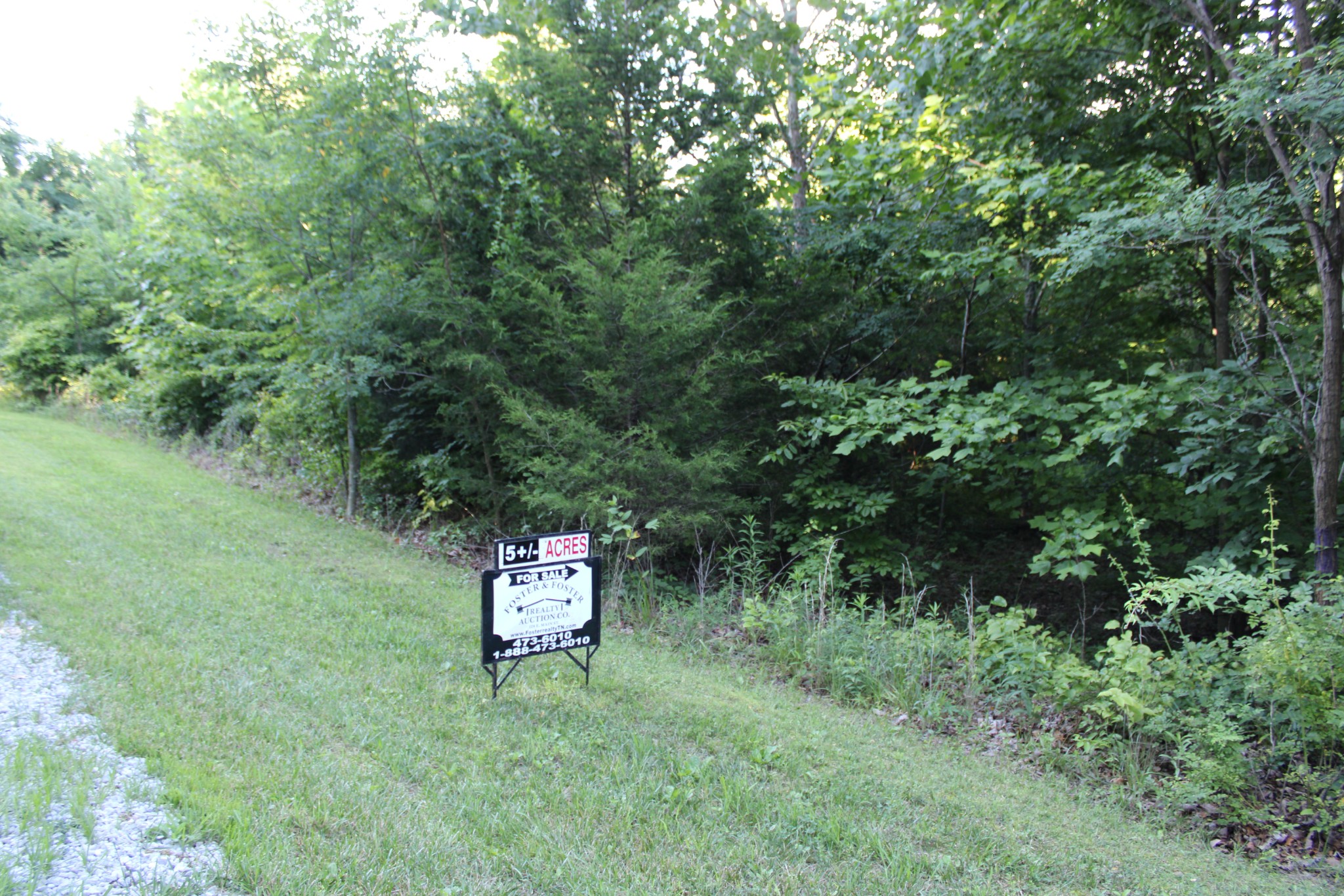 0 Bluff Line Property Photo 3