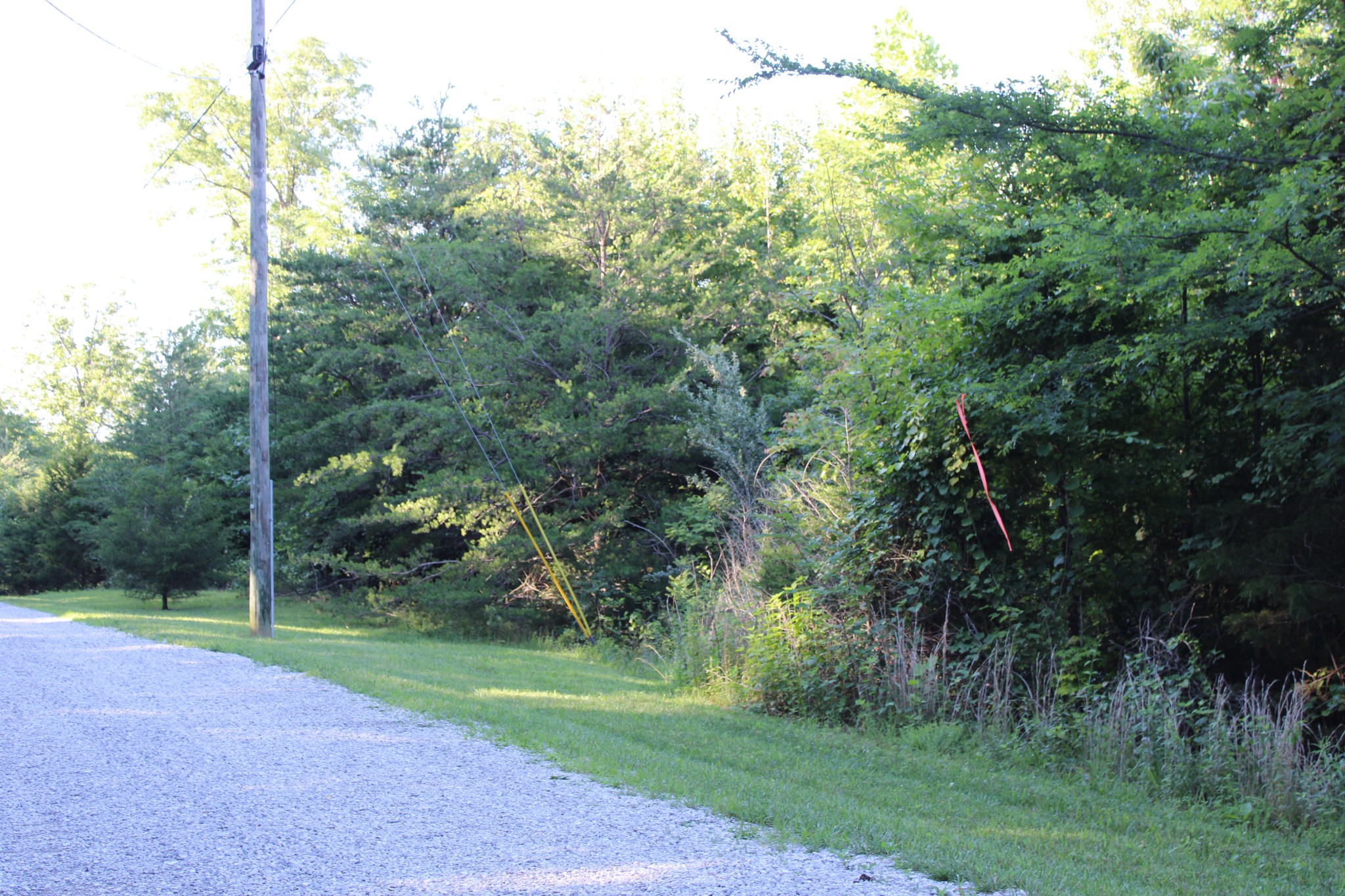 0 Bluff Line Property Photo 5