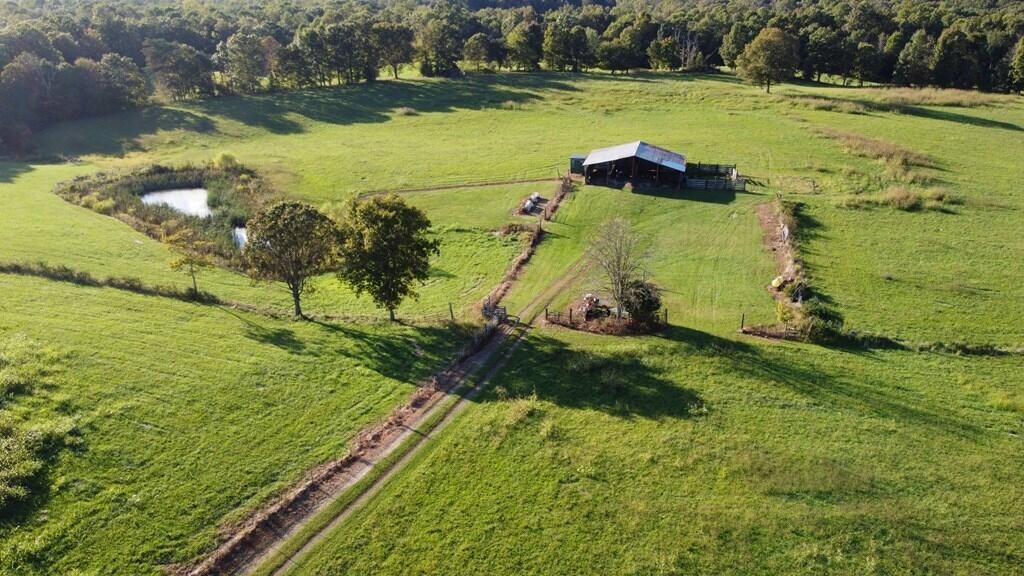 12343 Griffith Road Property Photo 32