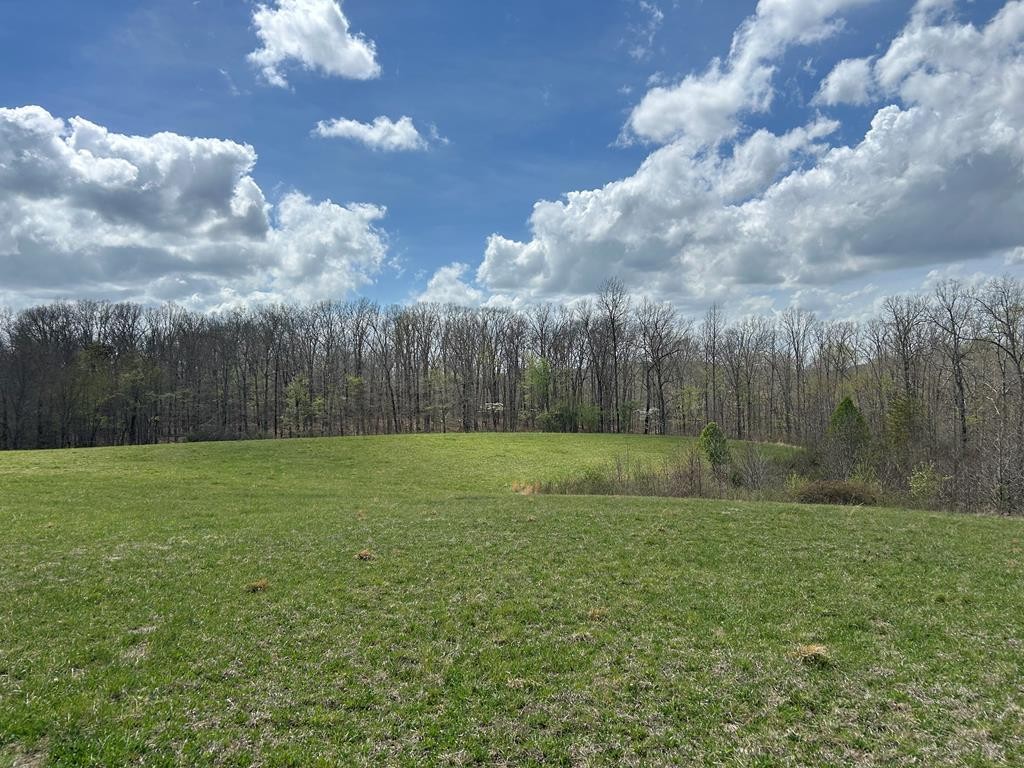 12343 Griffith Road Property Photo 35