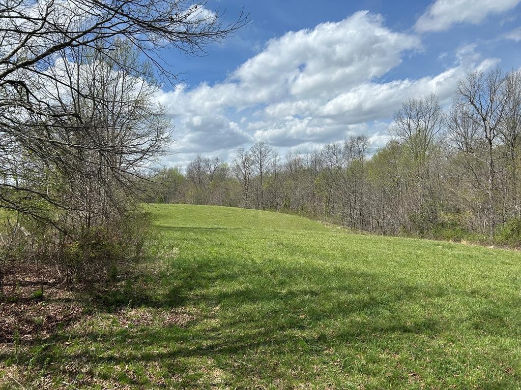 12343 Griffith Road Property Photo 36