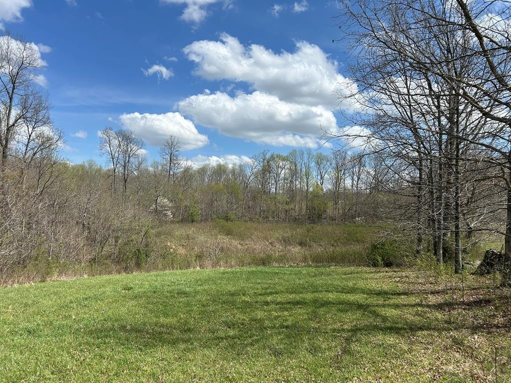 12343 Griffith Road Property Photo 37