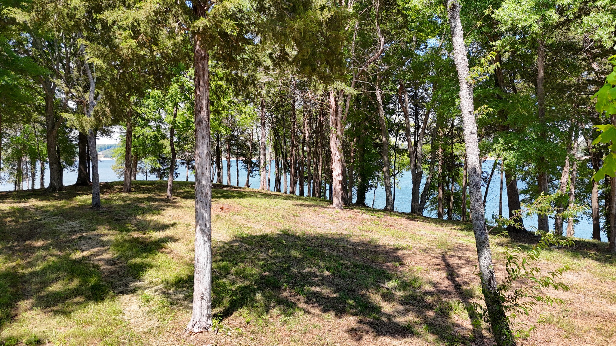 122 Ridge Point Trl Property Photo 4