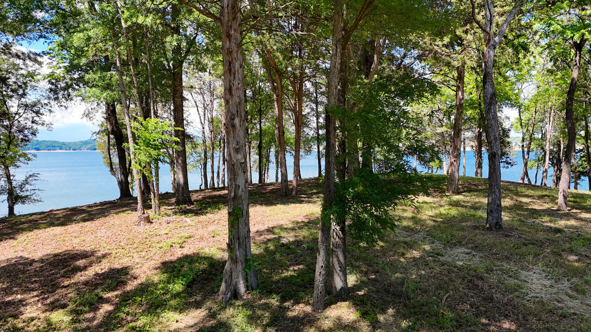 122 Ridge Point Trl Property Photo 7
