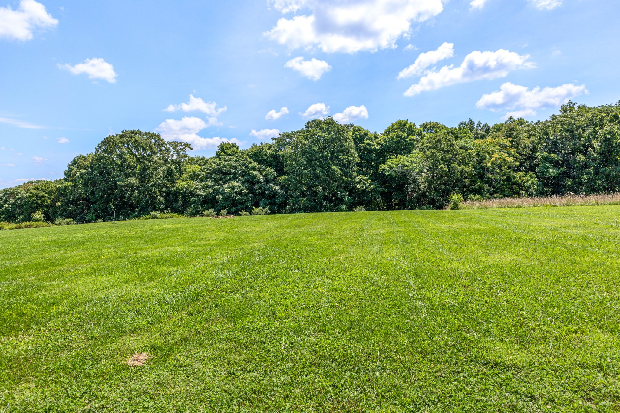 579 Buddy Rd Property Photo 59