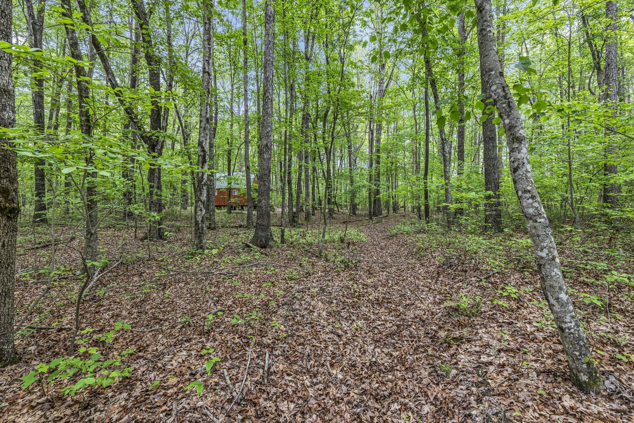 1034 Gadsden Way Property Photo 37
