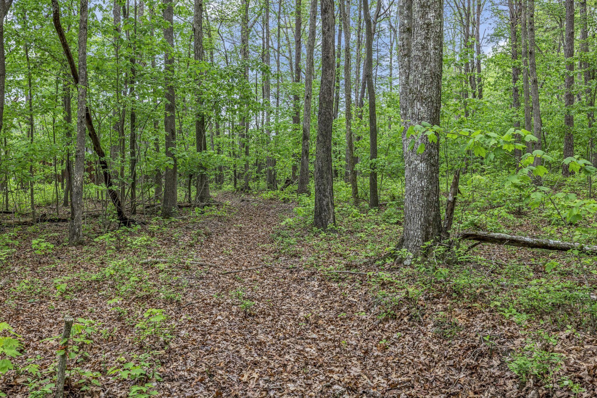 1034 Gadsden Way Property Photo 38