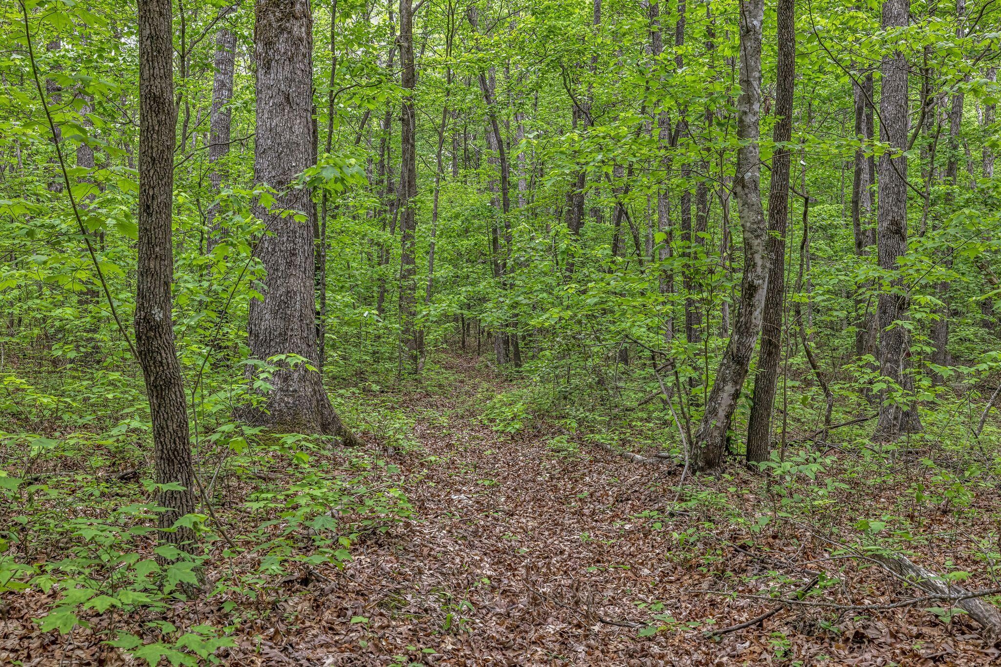 1034 Gadsden Way Property Photo 39