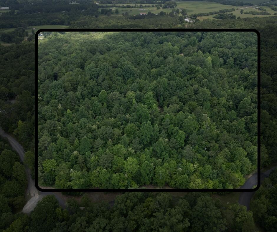 0 Dogwood Hollow Property Photo 4