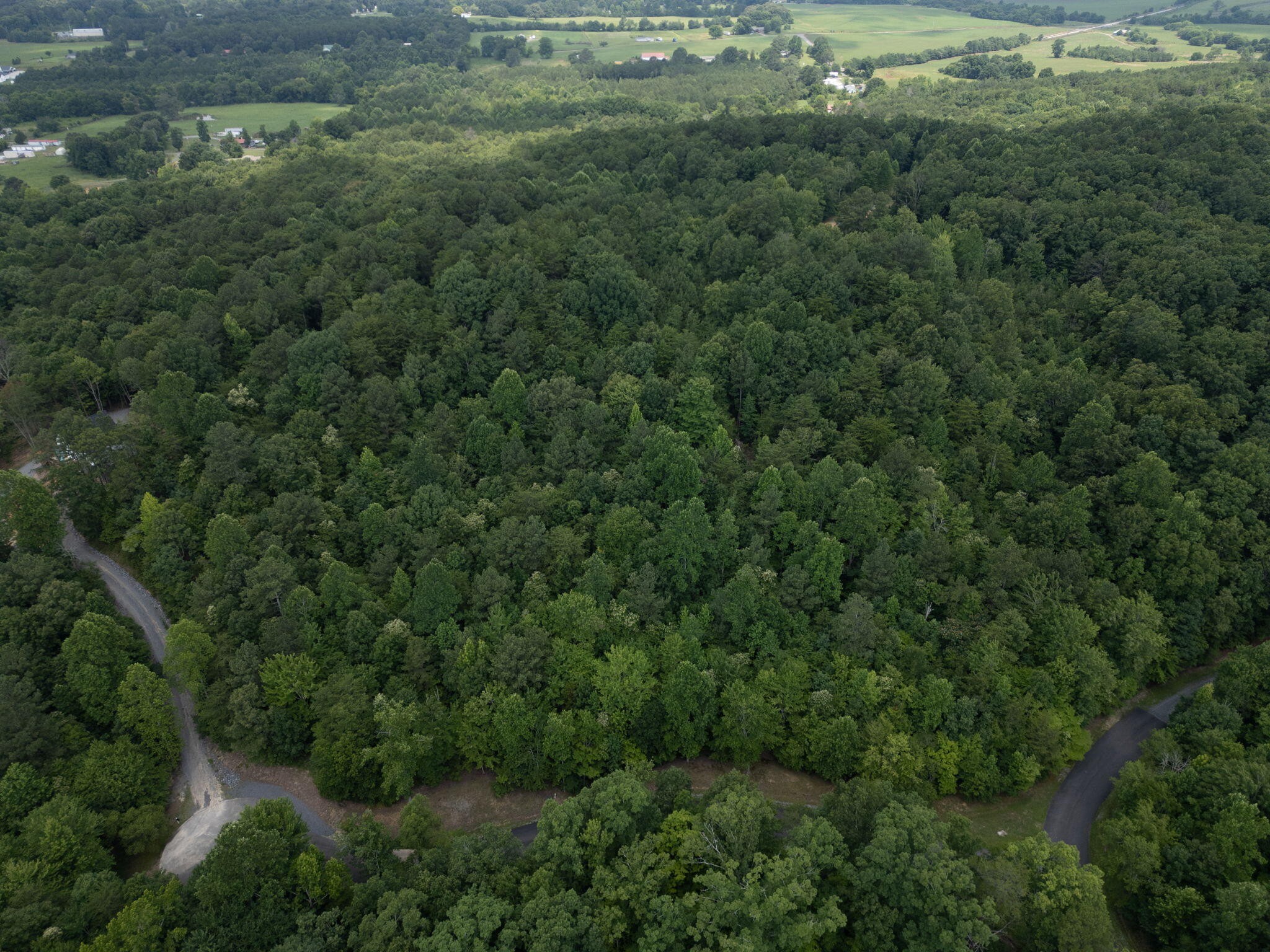 0 Dogwood Hollow Property Photo 5