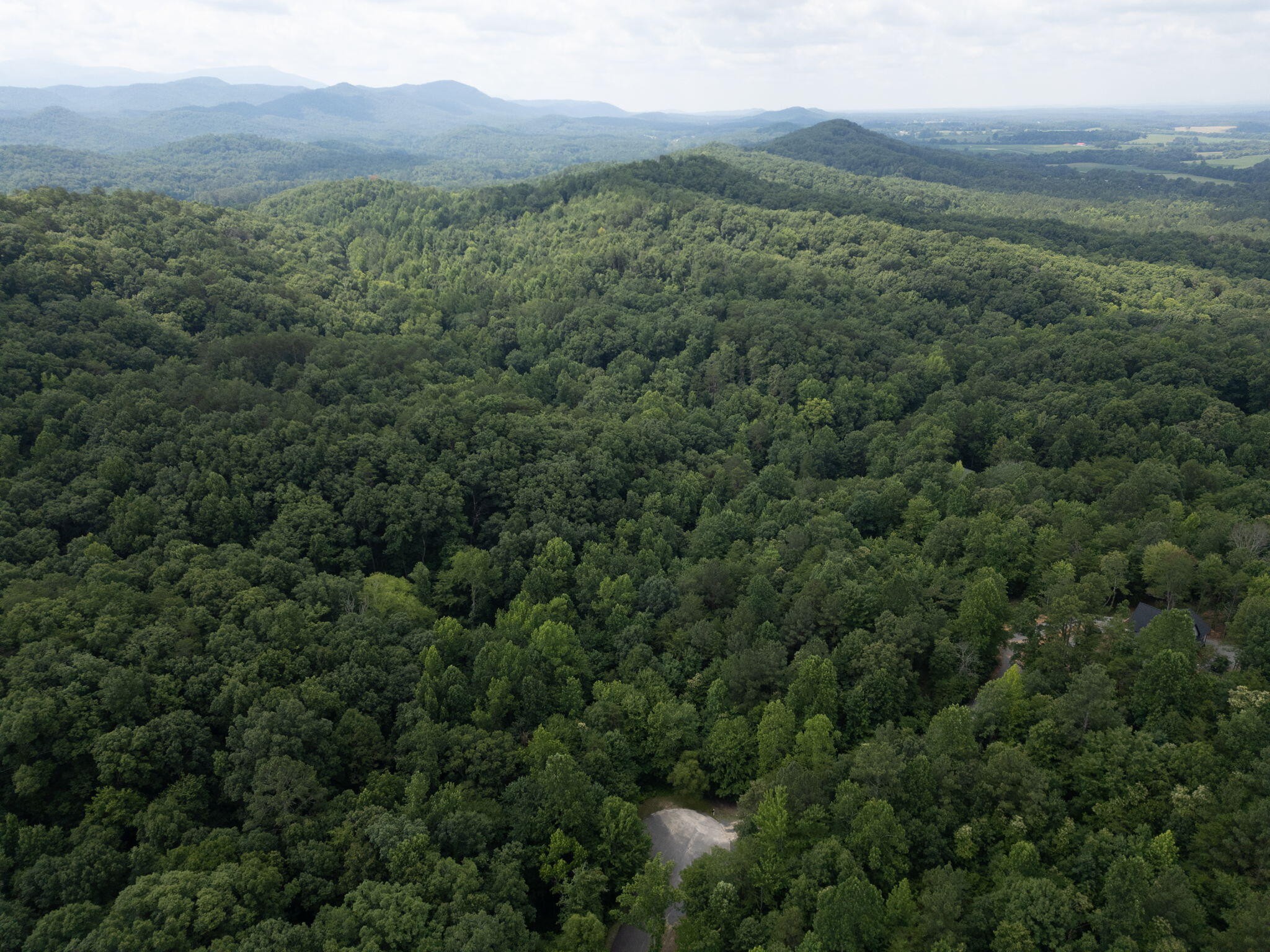 0 Dogwood Hollow Property Photo 6