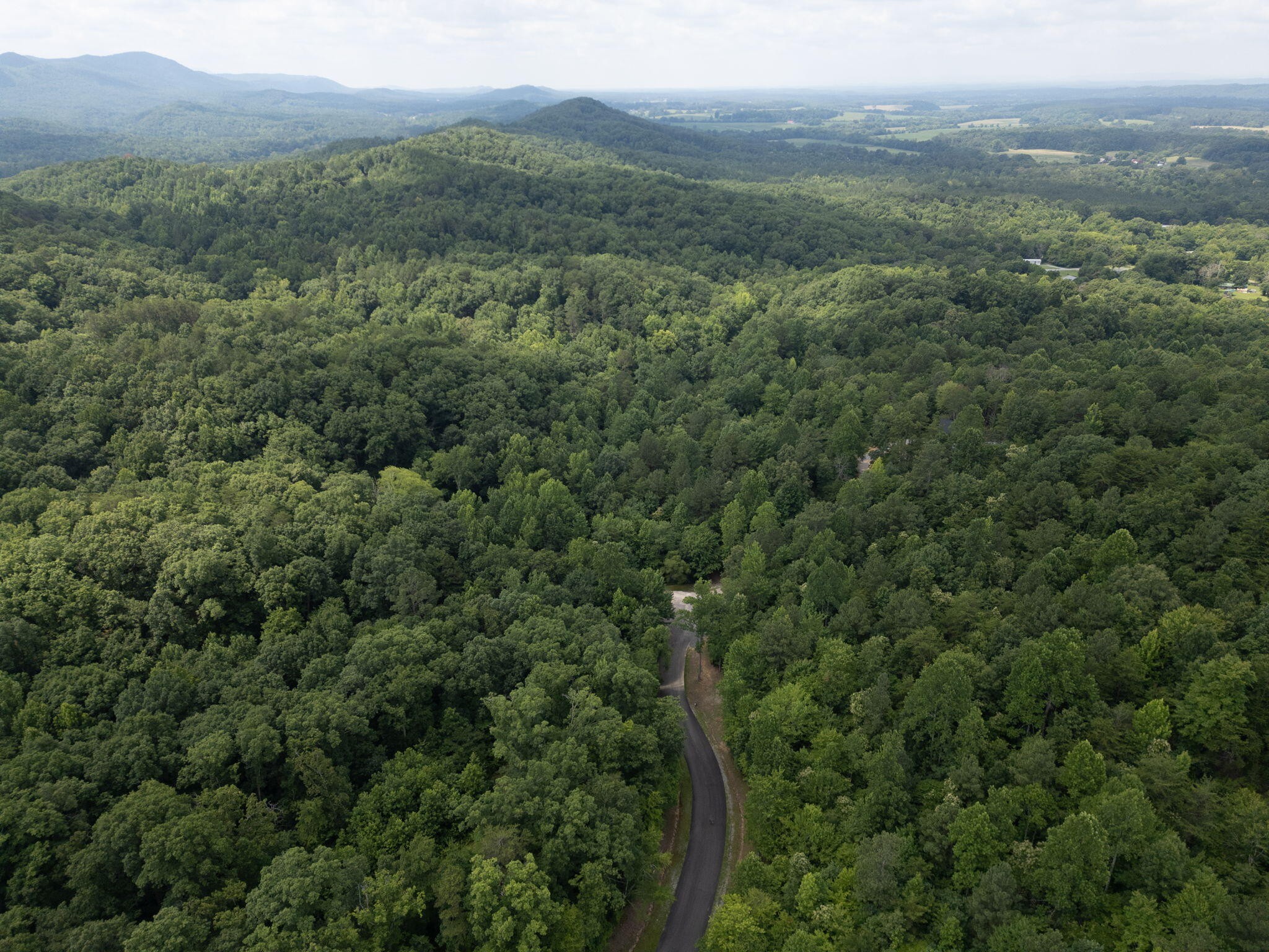 0 Dogwood Hollow Property Photo 11