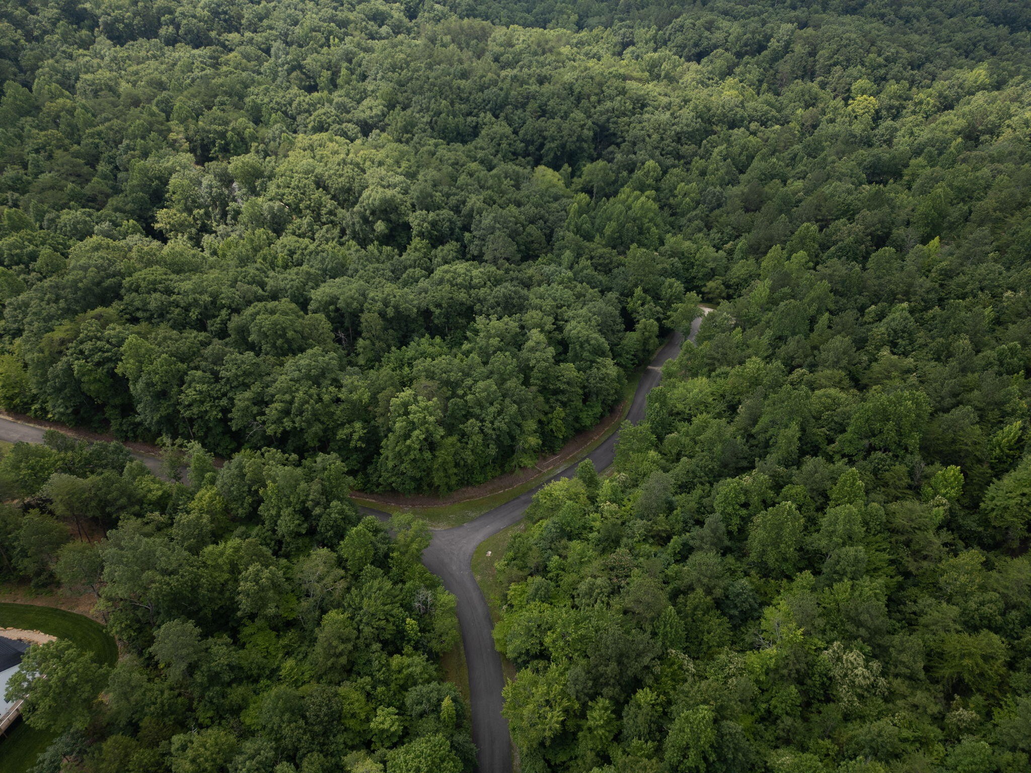 0 Dogwood Hollow Property Photo 12