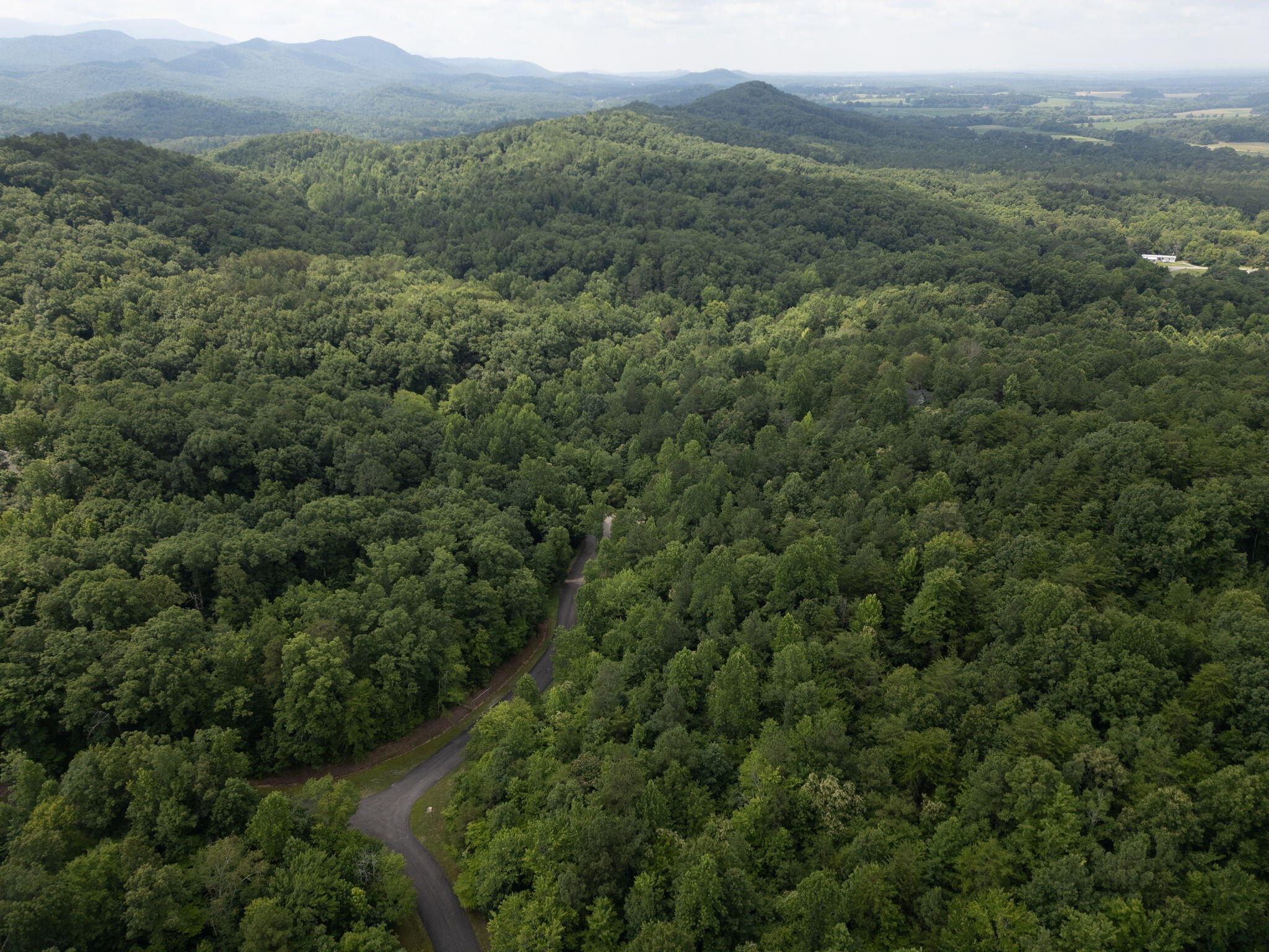 0 Dogwood Hollow Property Photo 13