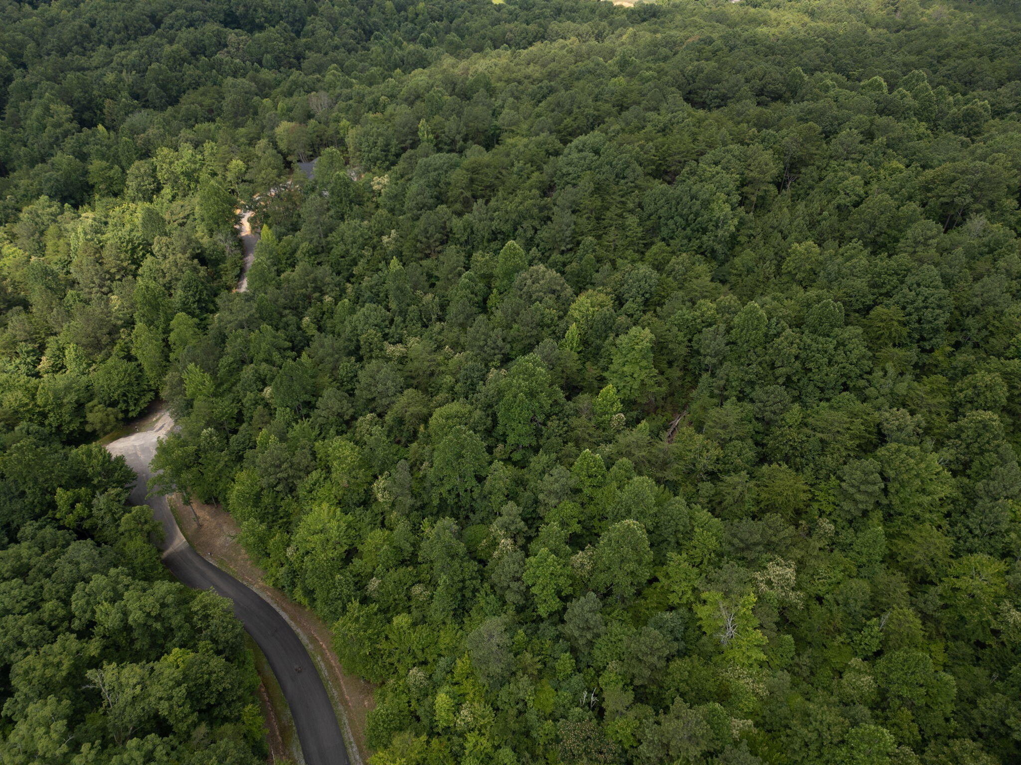 0 Dogwood Hollow Property Photo 15