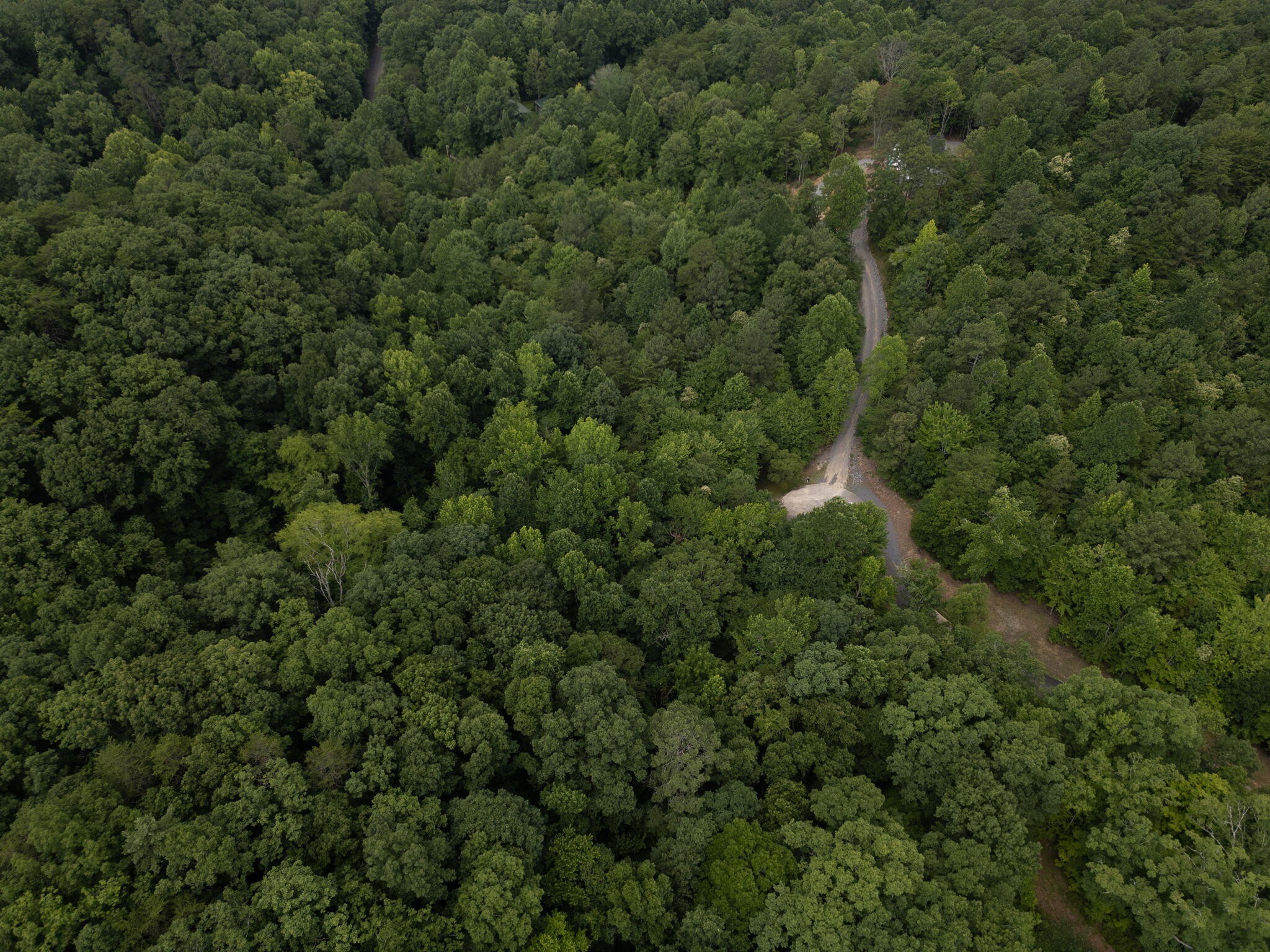 0 Dogwood Hollow Property Photo 19