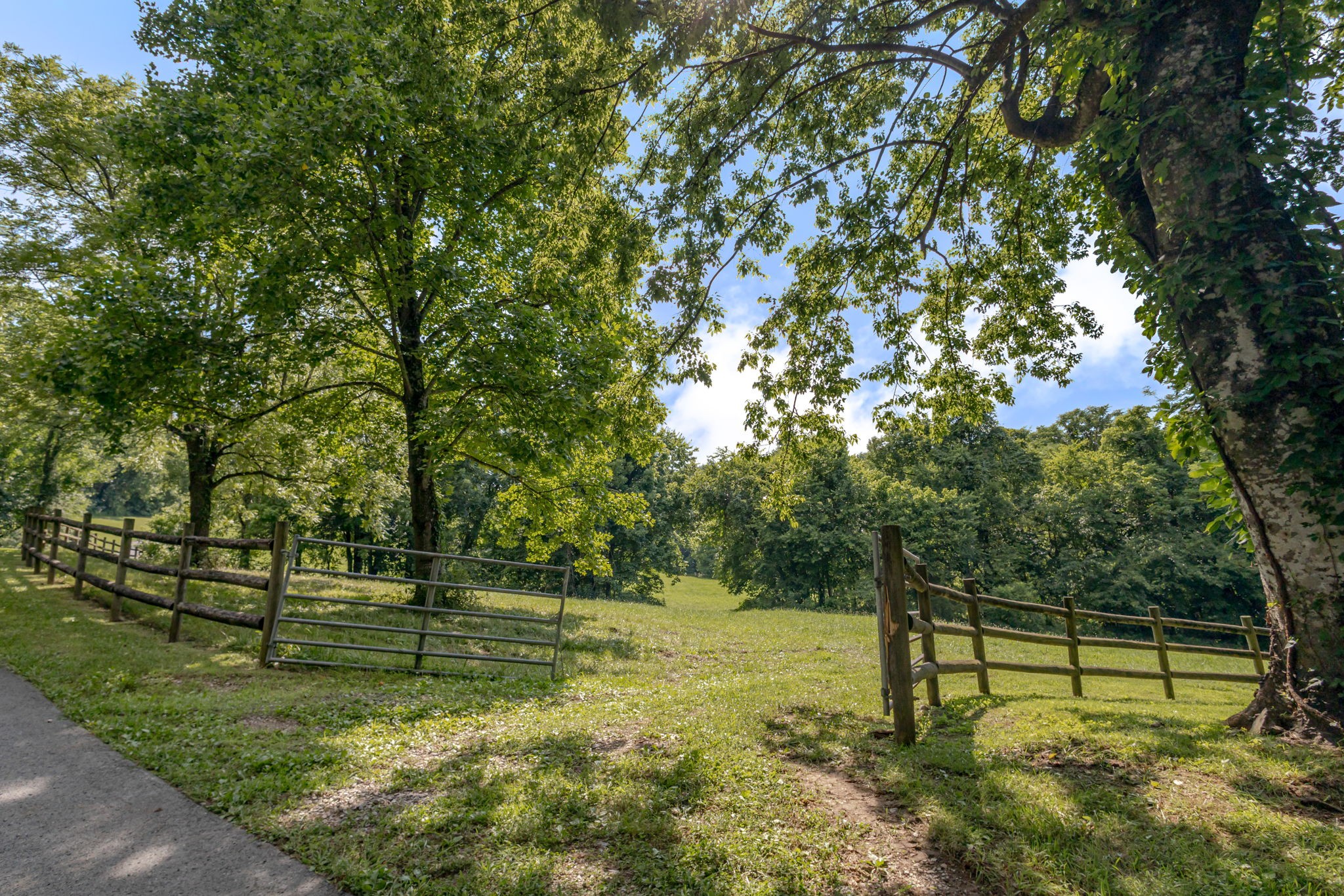 391 Bluestocking Hollow Rd Property Photo 88