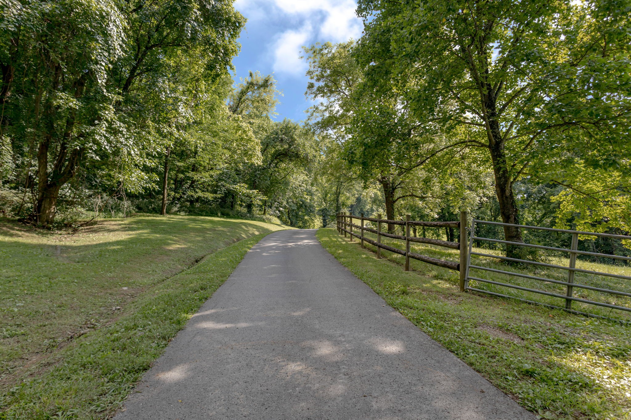 391 Bluestocking Hollow Rd Property Photo 89