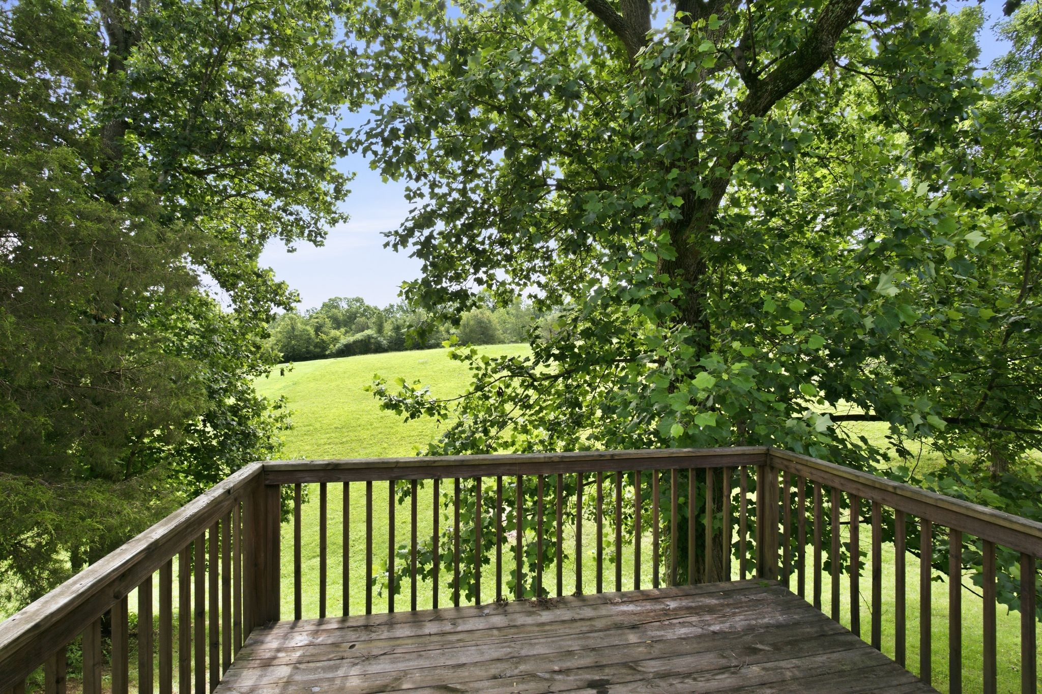 1208 Jason Cir Property Photo 46
