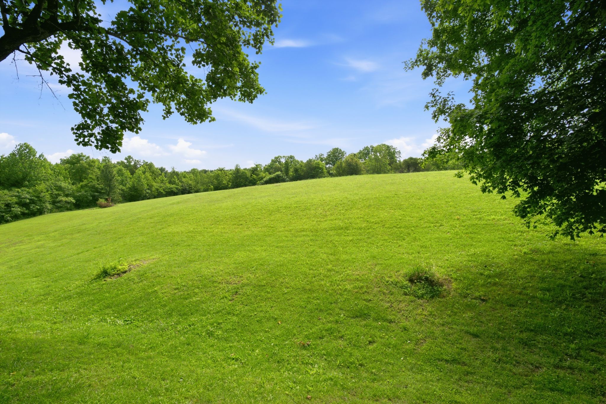 1208 Jason Cir Property Photo 51