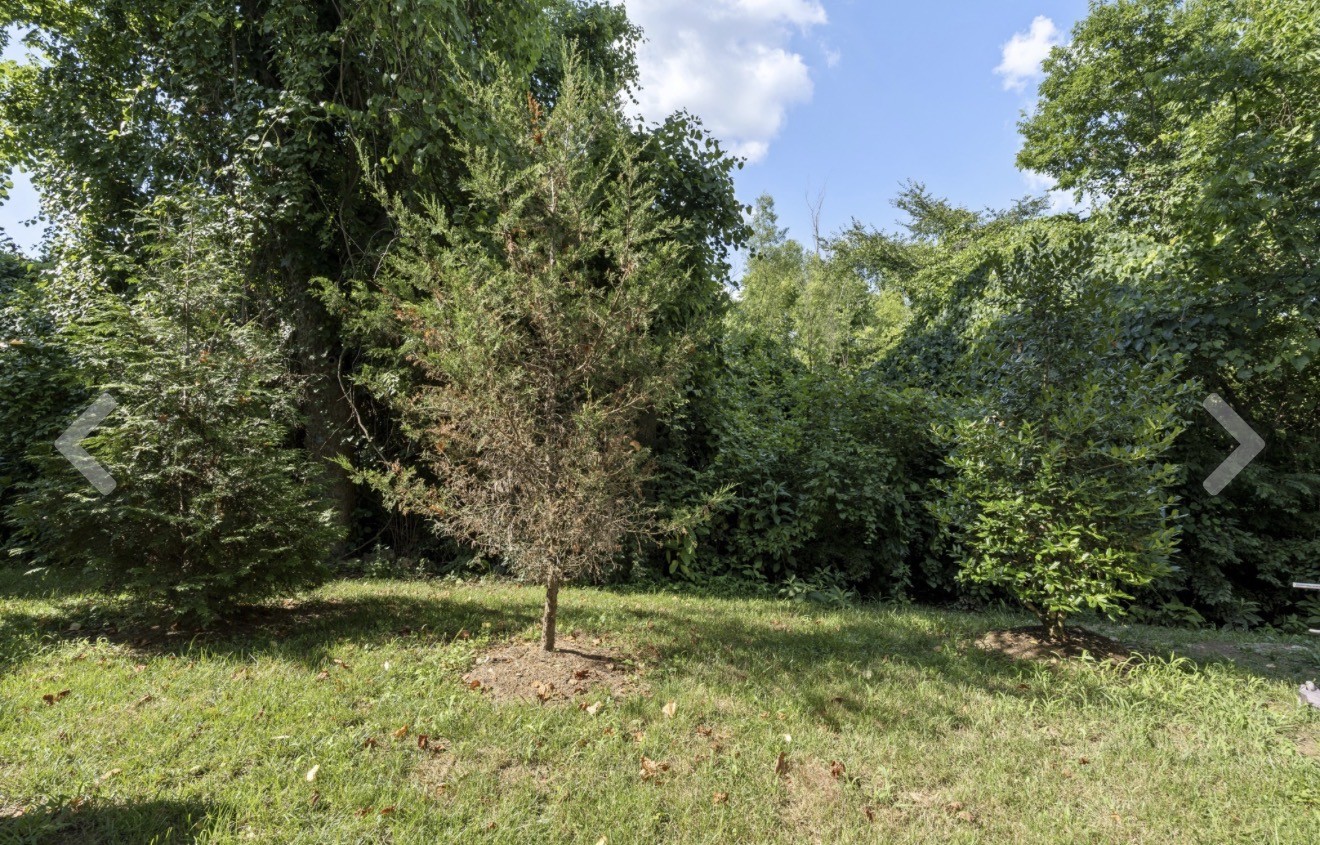 302 Williams Ave Property Photo 2