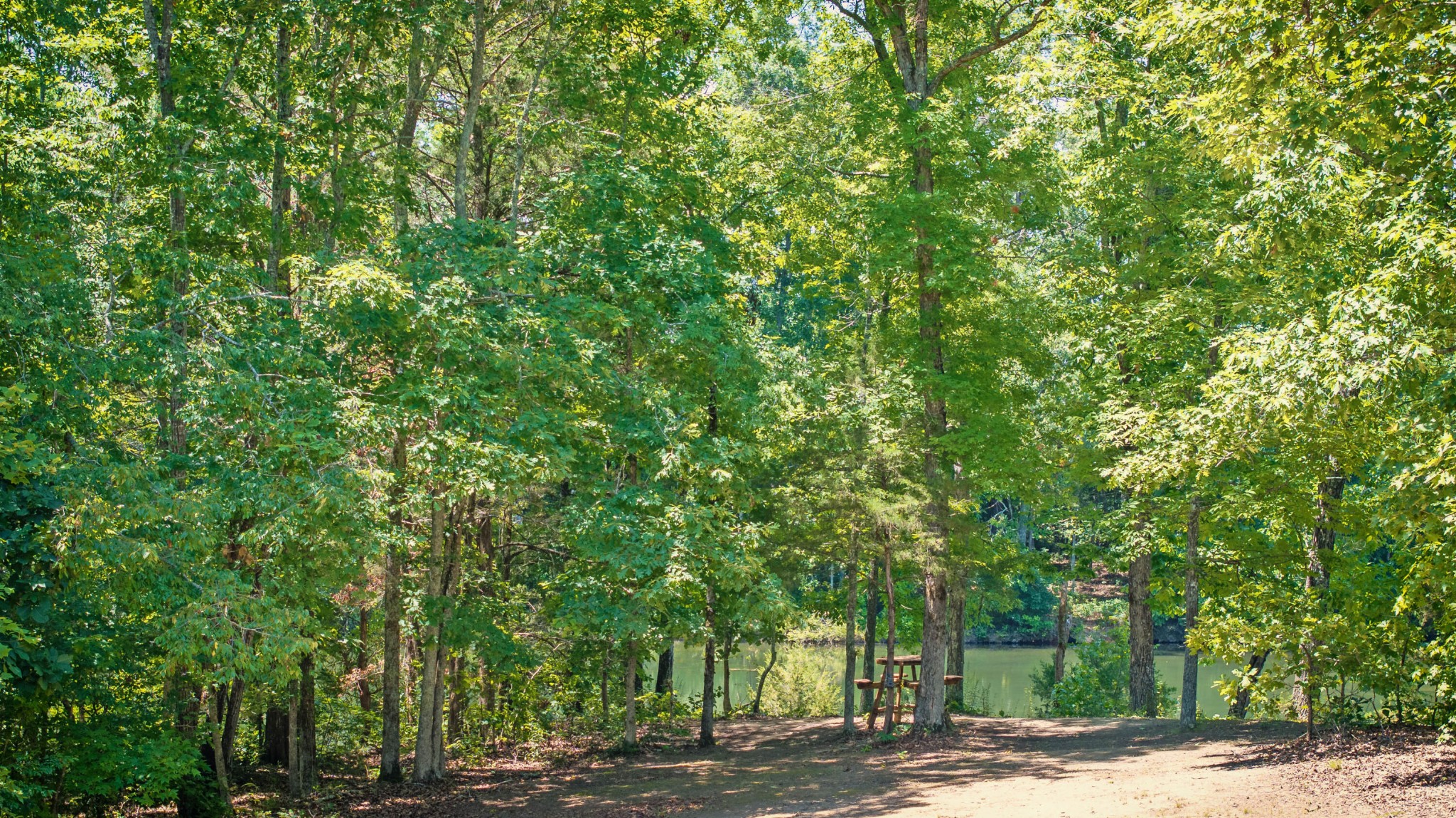882 Lower River Road Property Photo 18