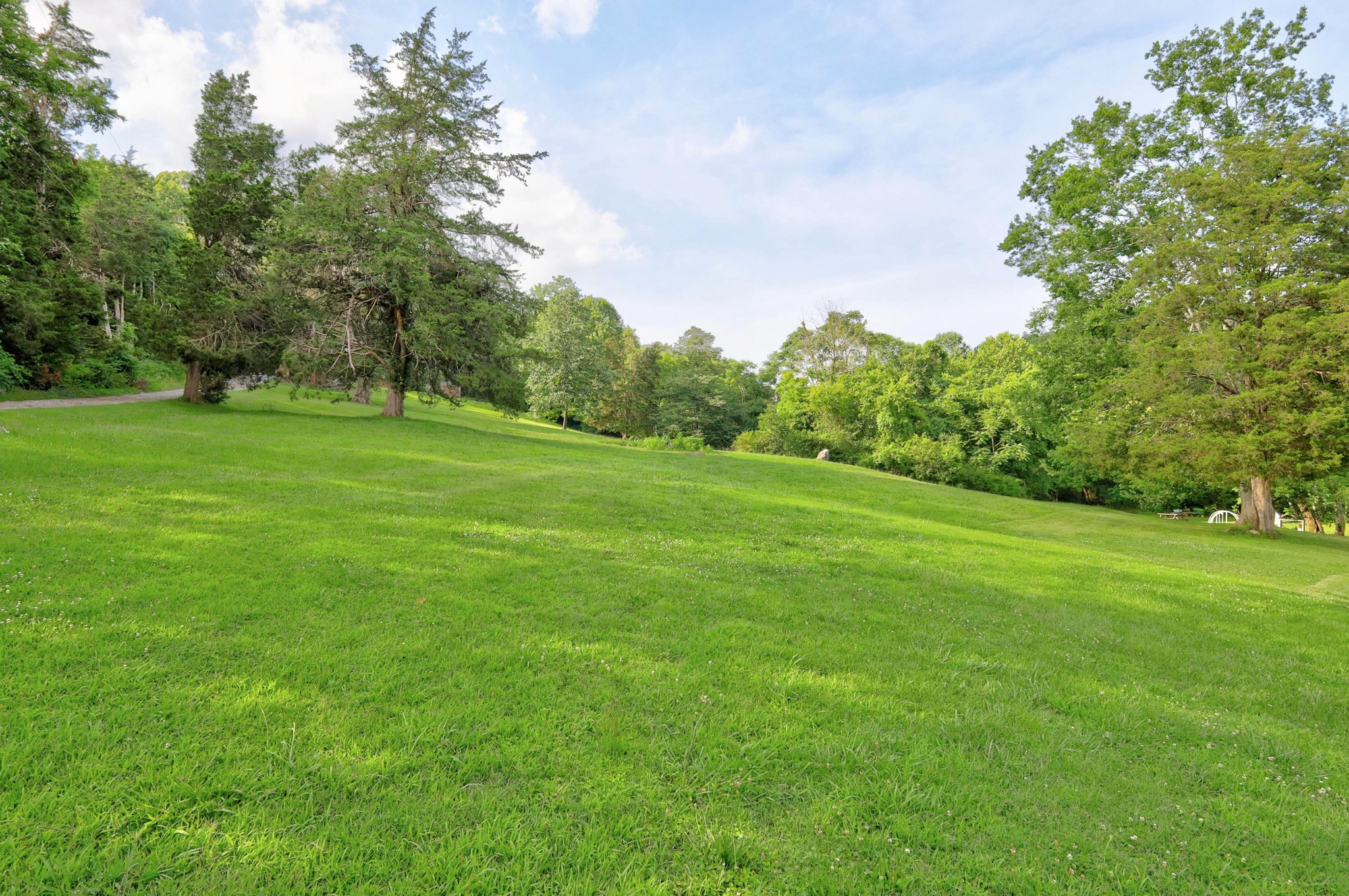 4218 Long Hollow Pike Property Photo 38