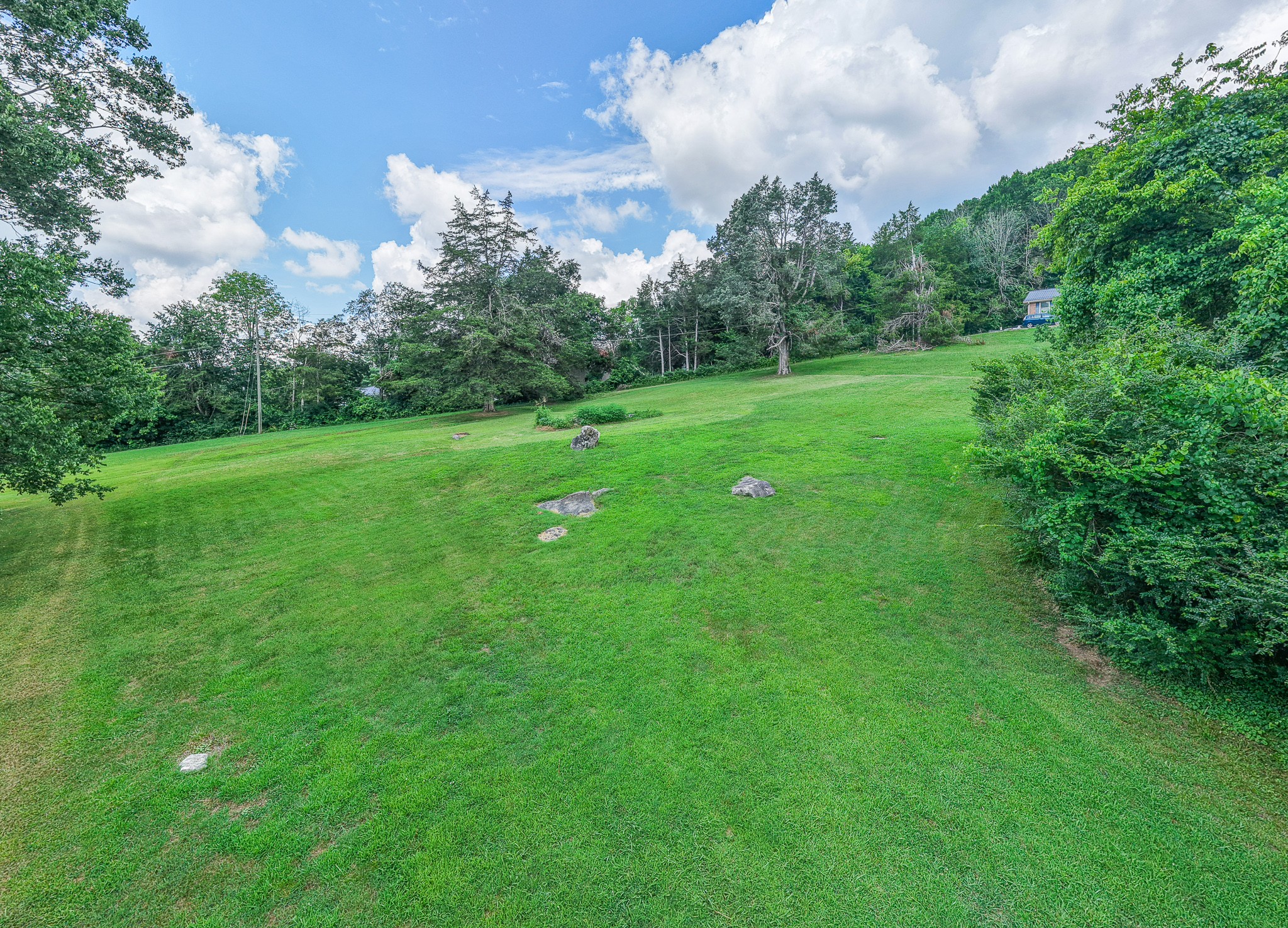 4218 Long Hollow Pike Property Photo 47