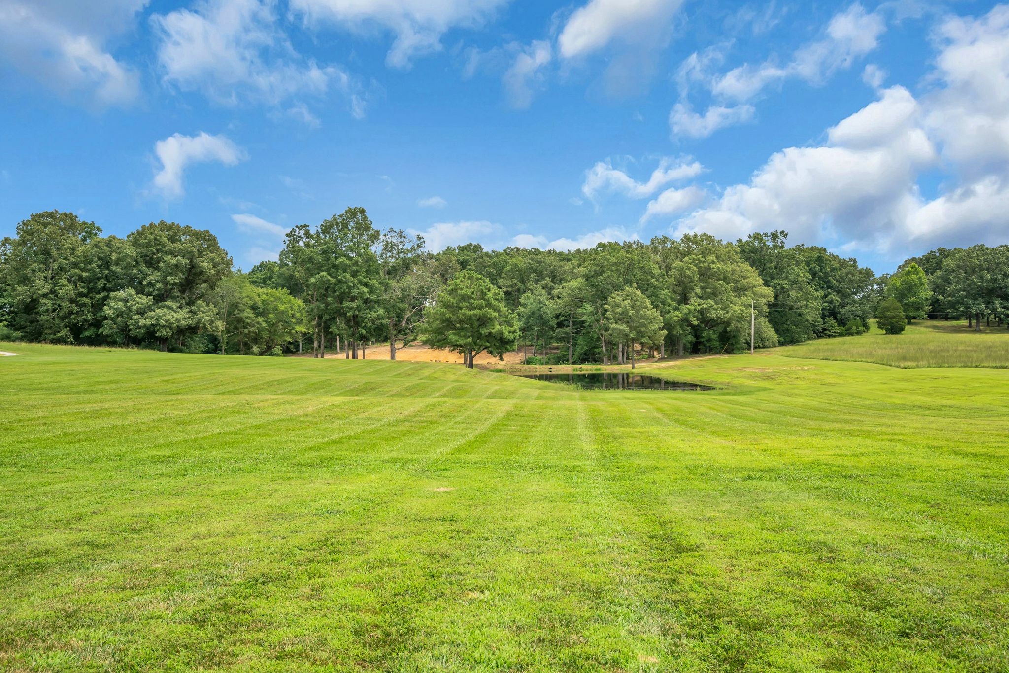 1261 Highway 48, S Property Photo 67