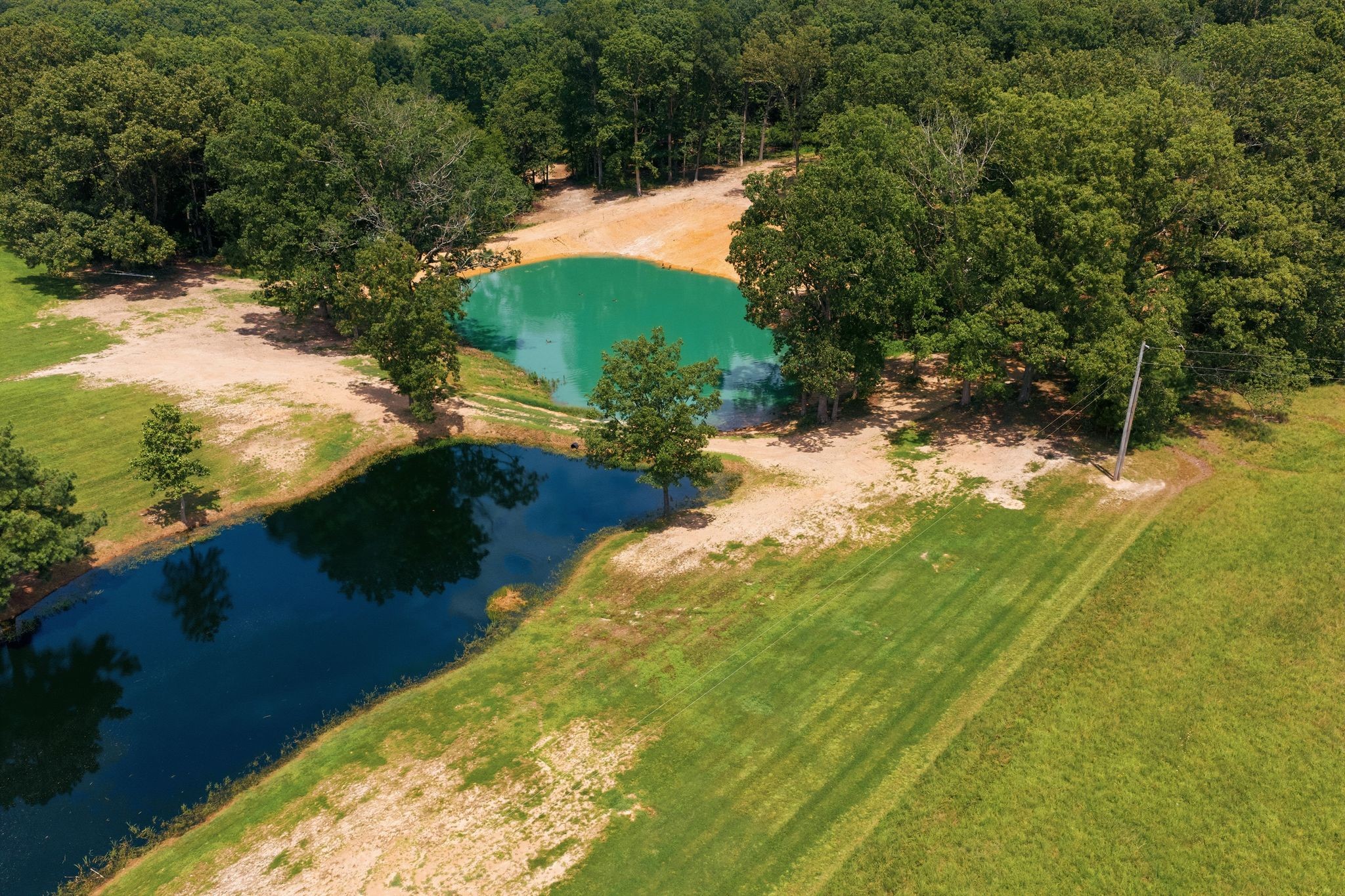 1261 Highway 48, S Property Photo 75