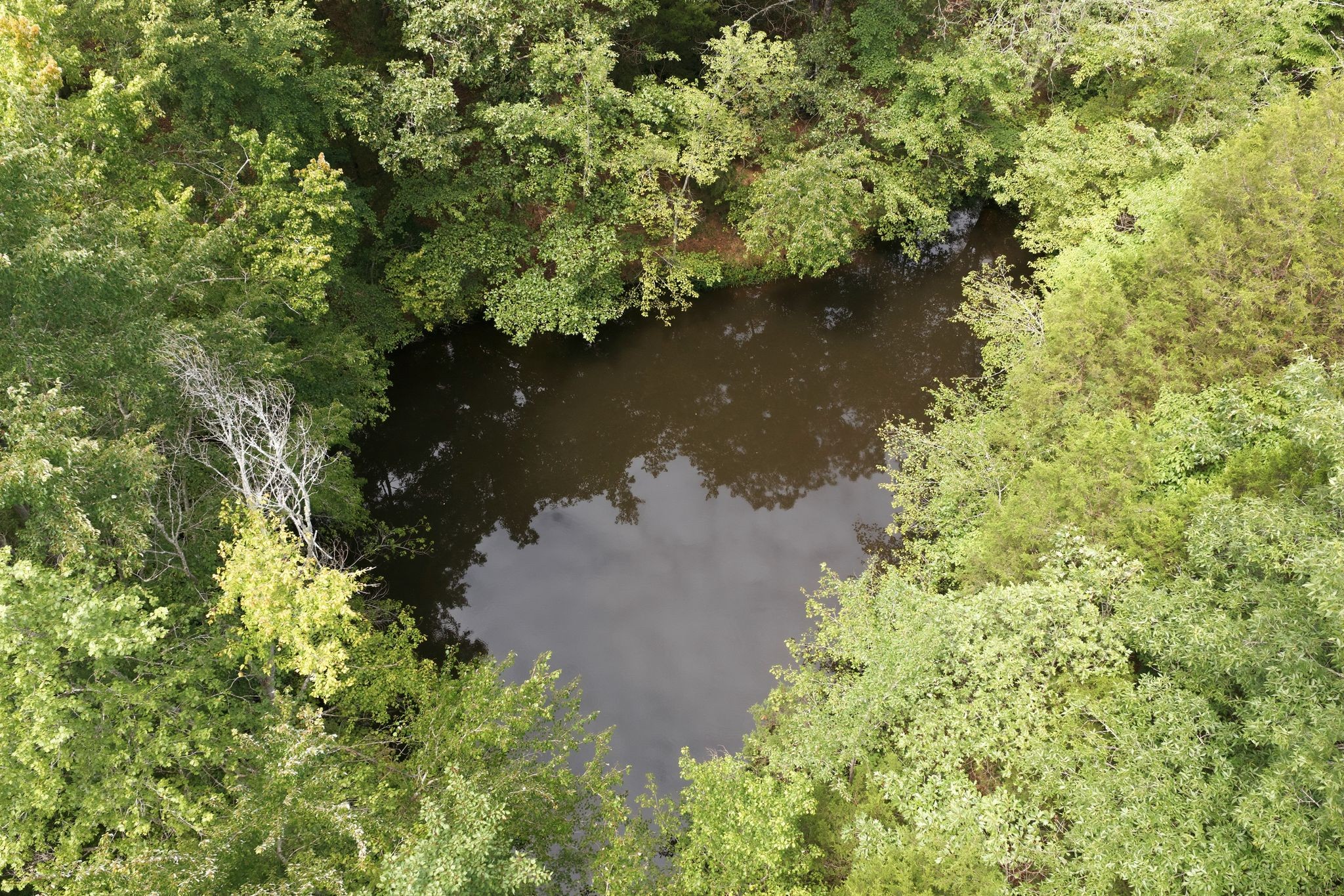 1261 Highway 48, S Property Photo 80