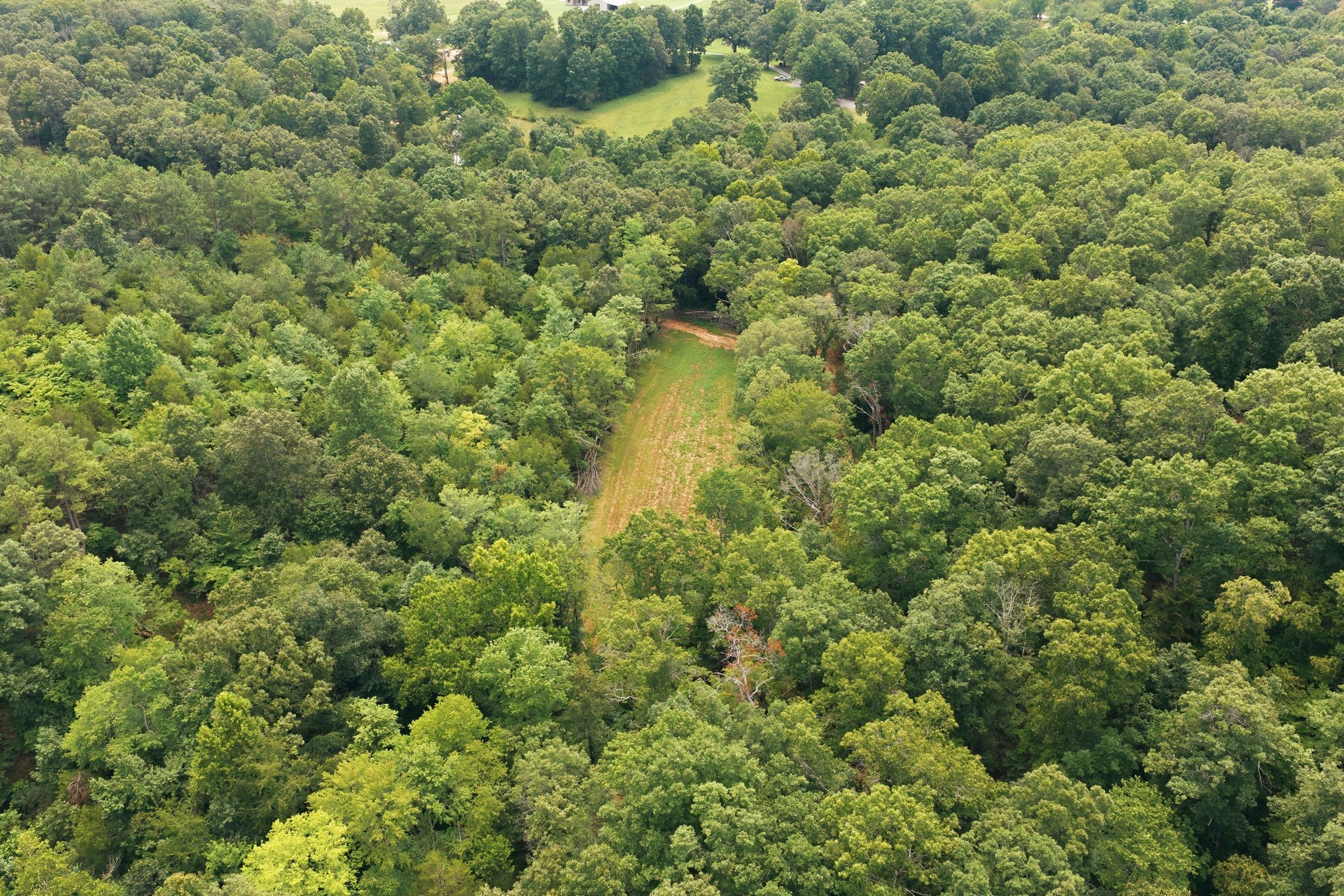 1261 Highway 48, S Property Photo 81