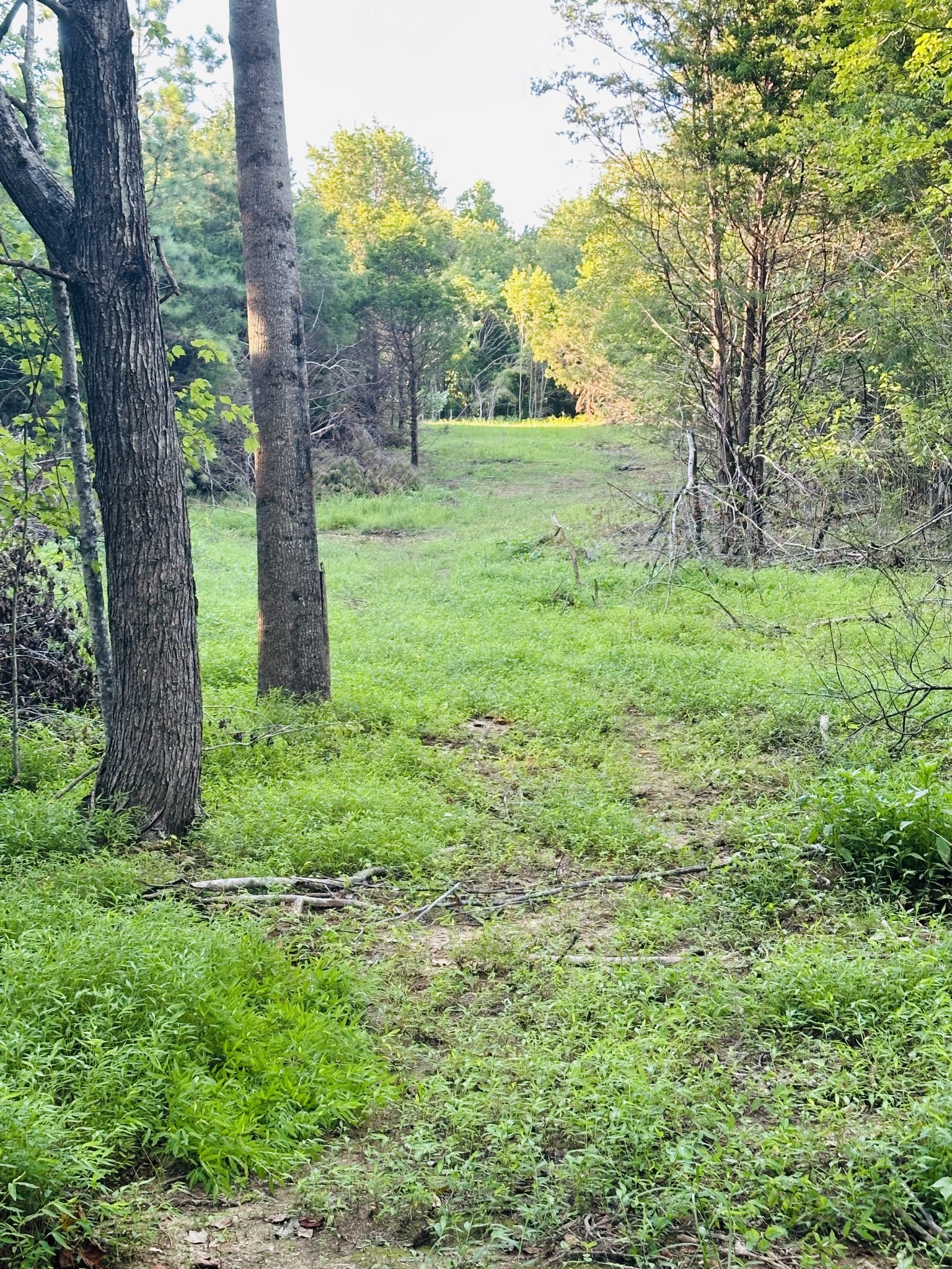 1261 Highway 48, S Property Photo 83