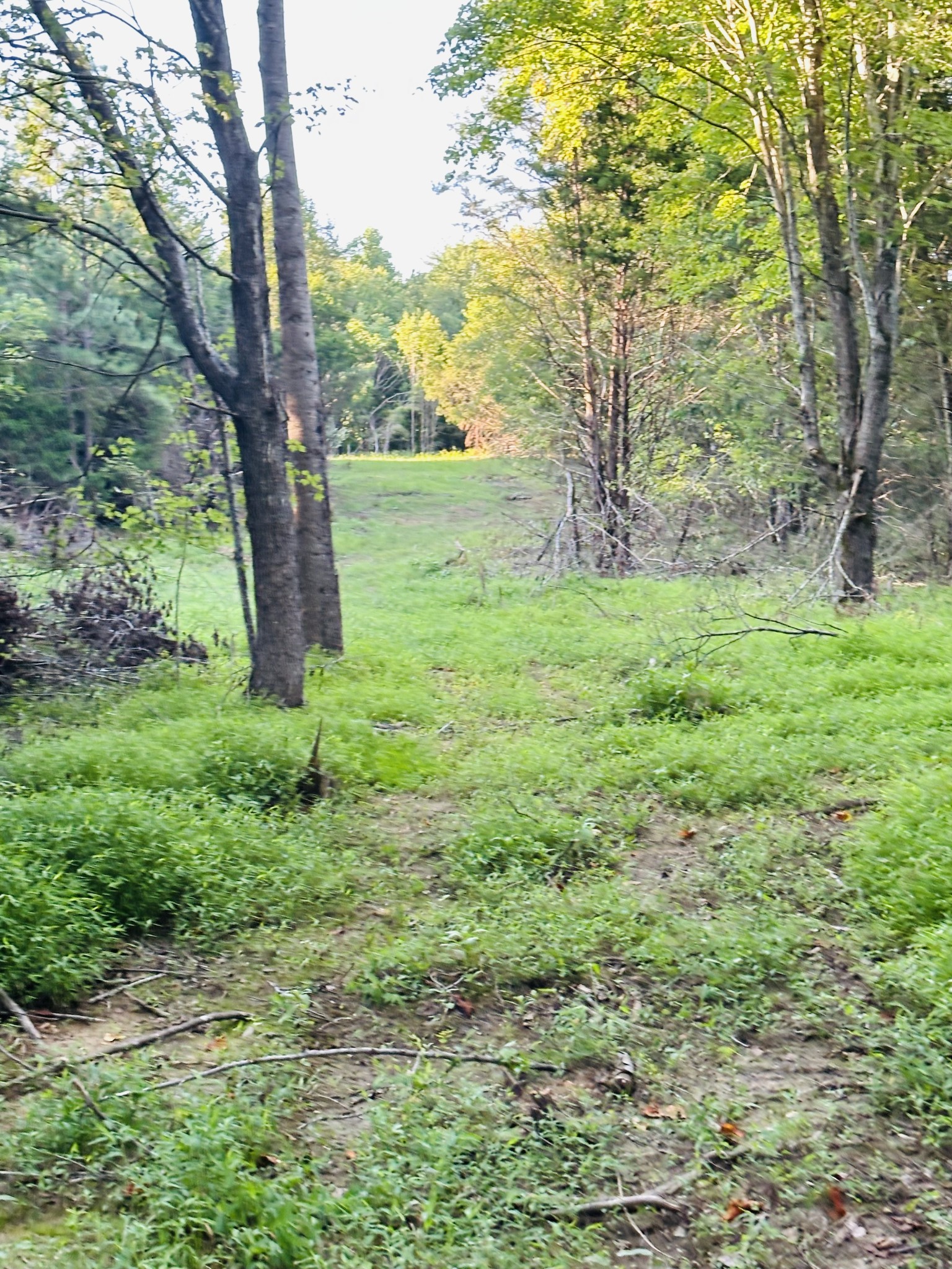 1261 Highway 48, S Property Photo 84