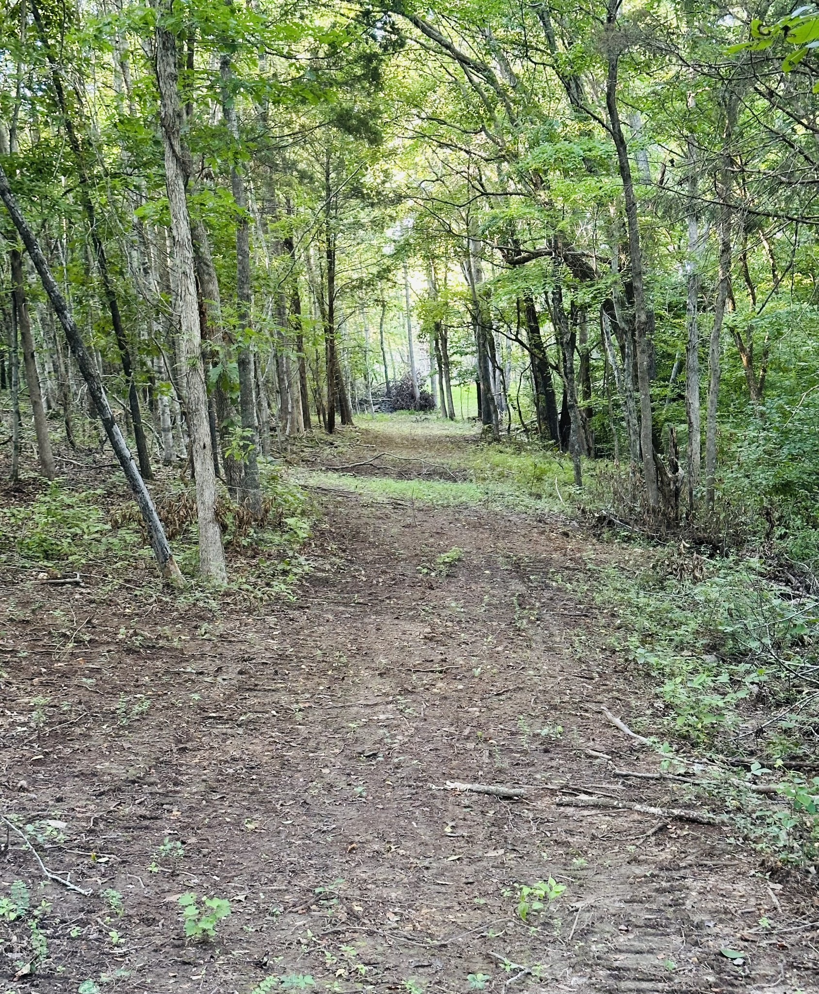 1261 Highway 48, S Property Photo 85