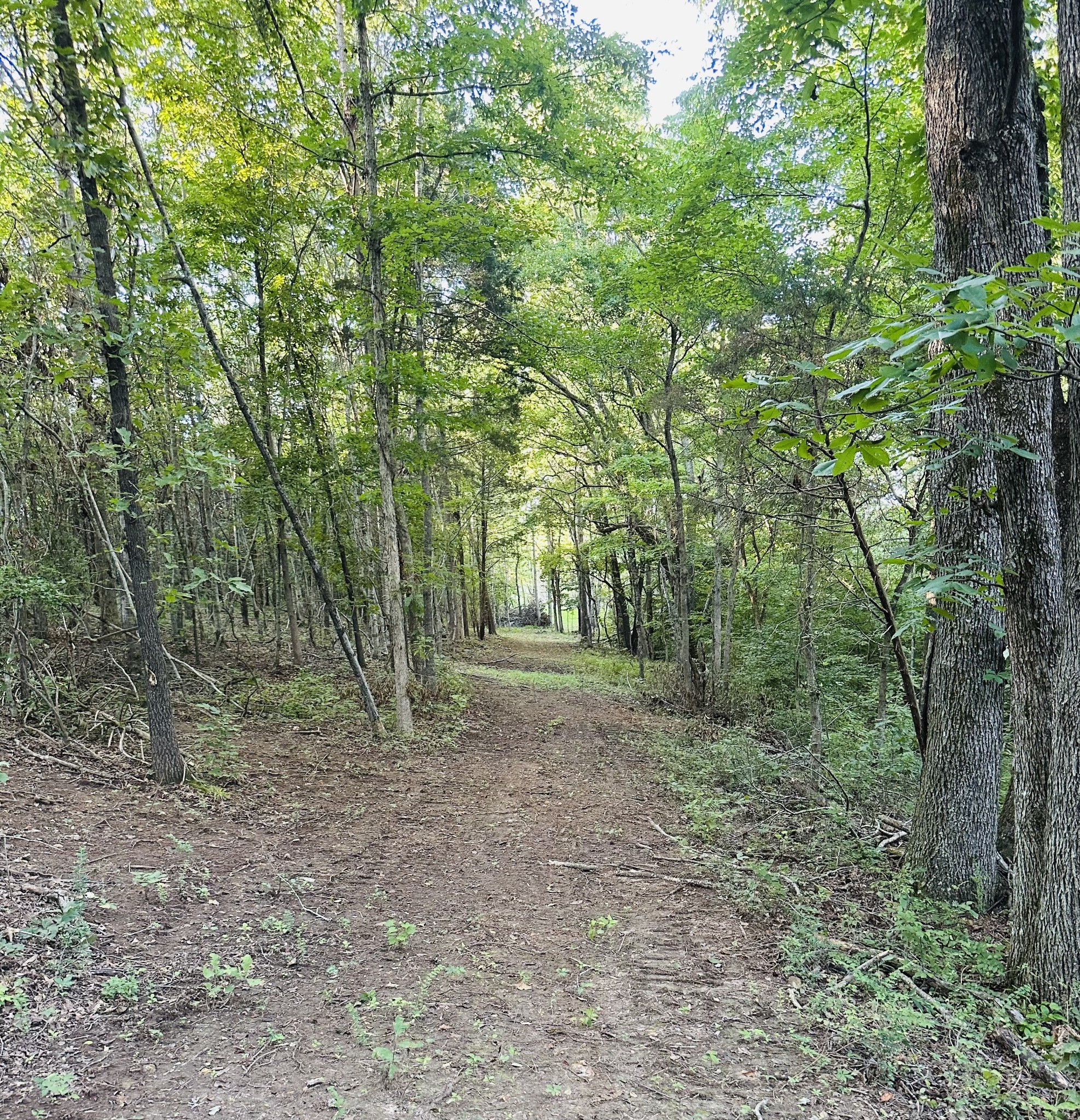 1261 Highway 48, S Property Photo 86